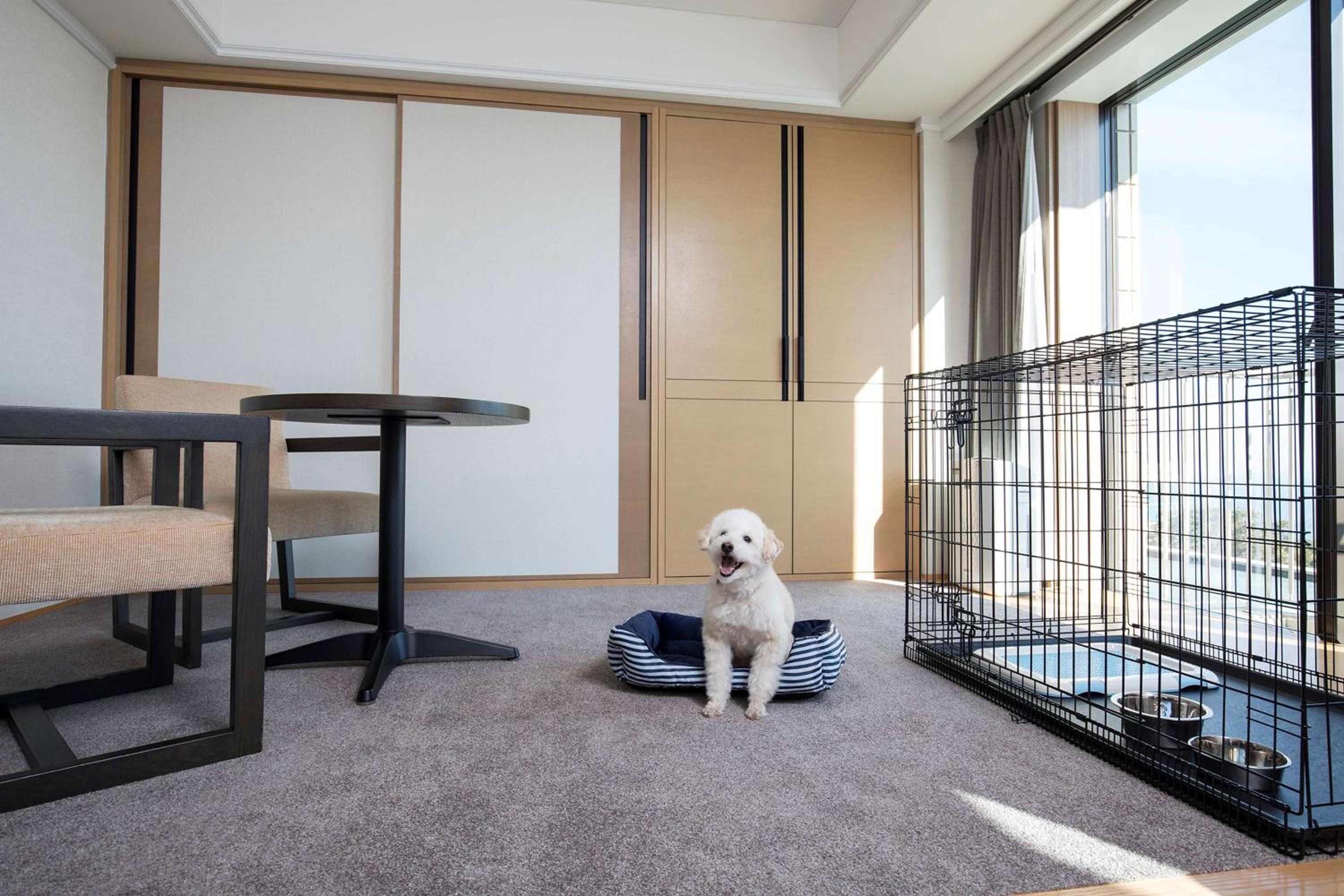 Double Room - Dog Friendly