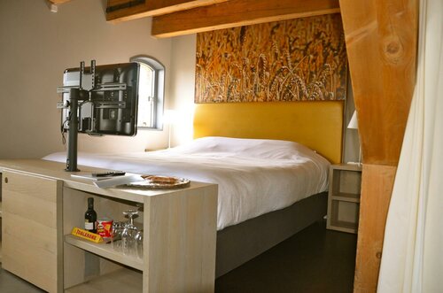 Standard Double Room в Fletcher Hotel-Restaurant Kasteel Coevorden