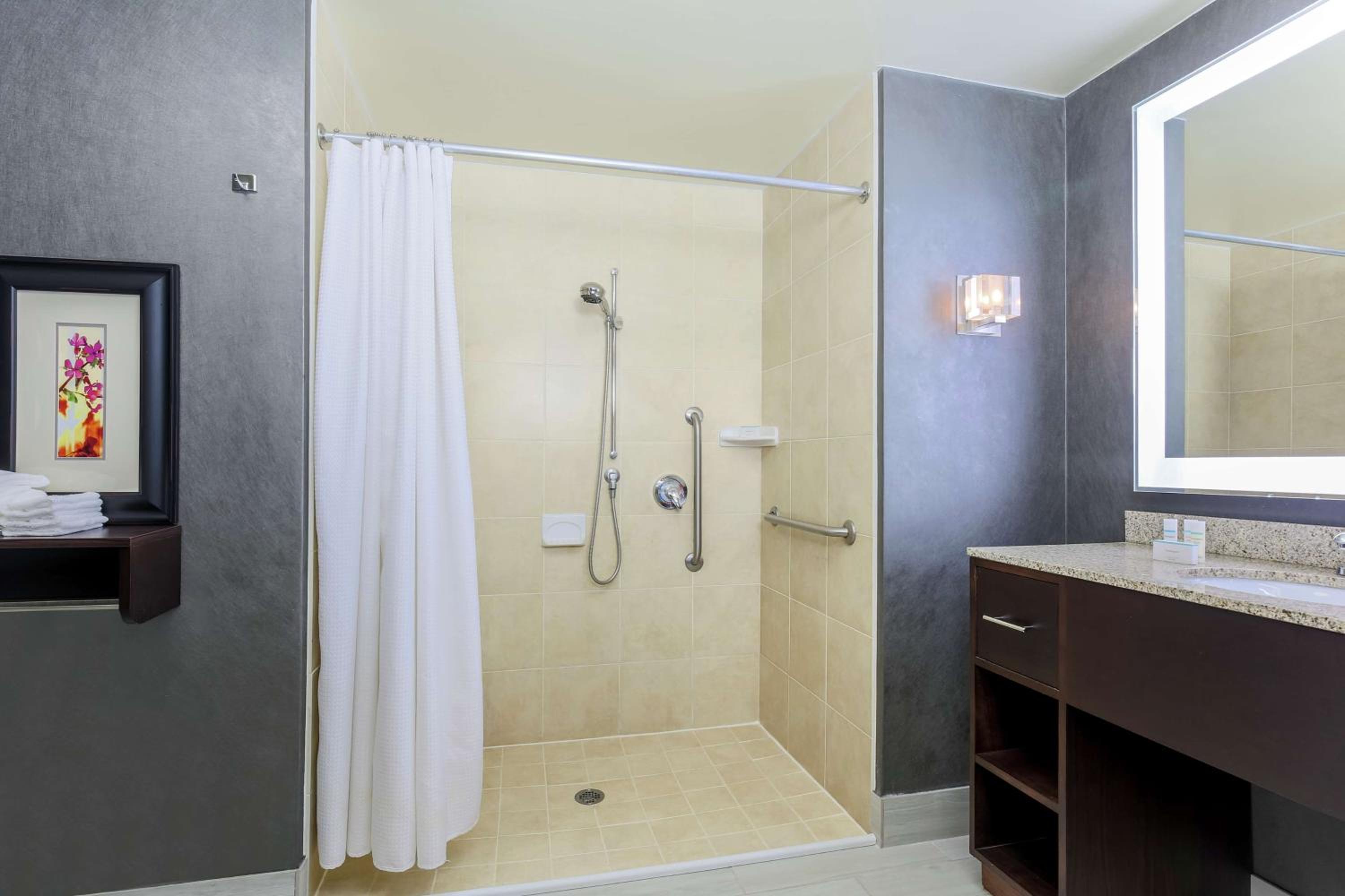 King Suite with Roll-In Shower - Mobility and Hearing Access/Non-Smoking