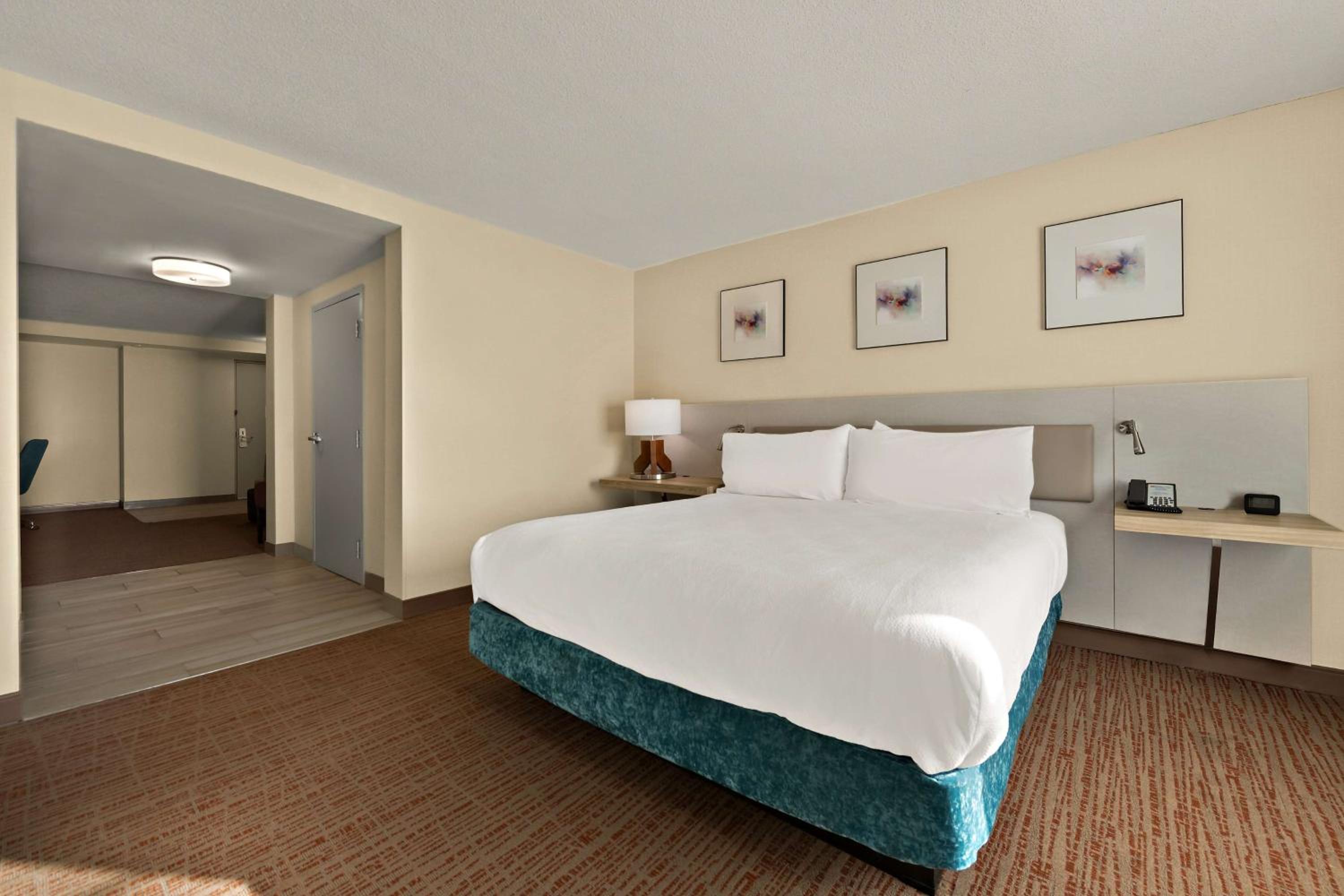 One-Bedroom King Suite with Sofa Bed