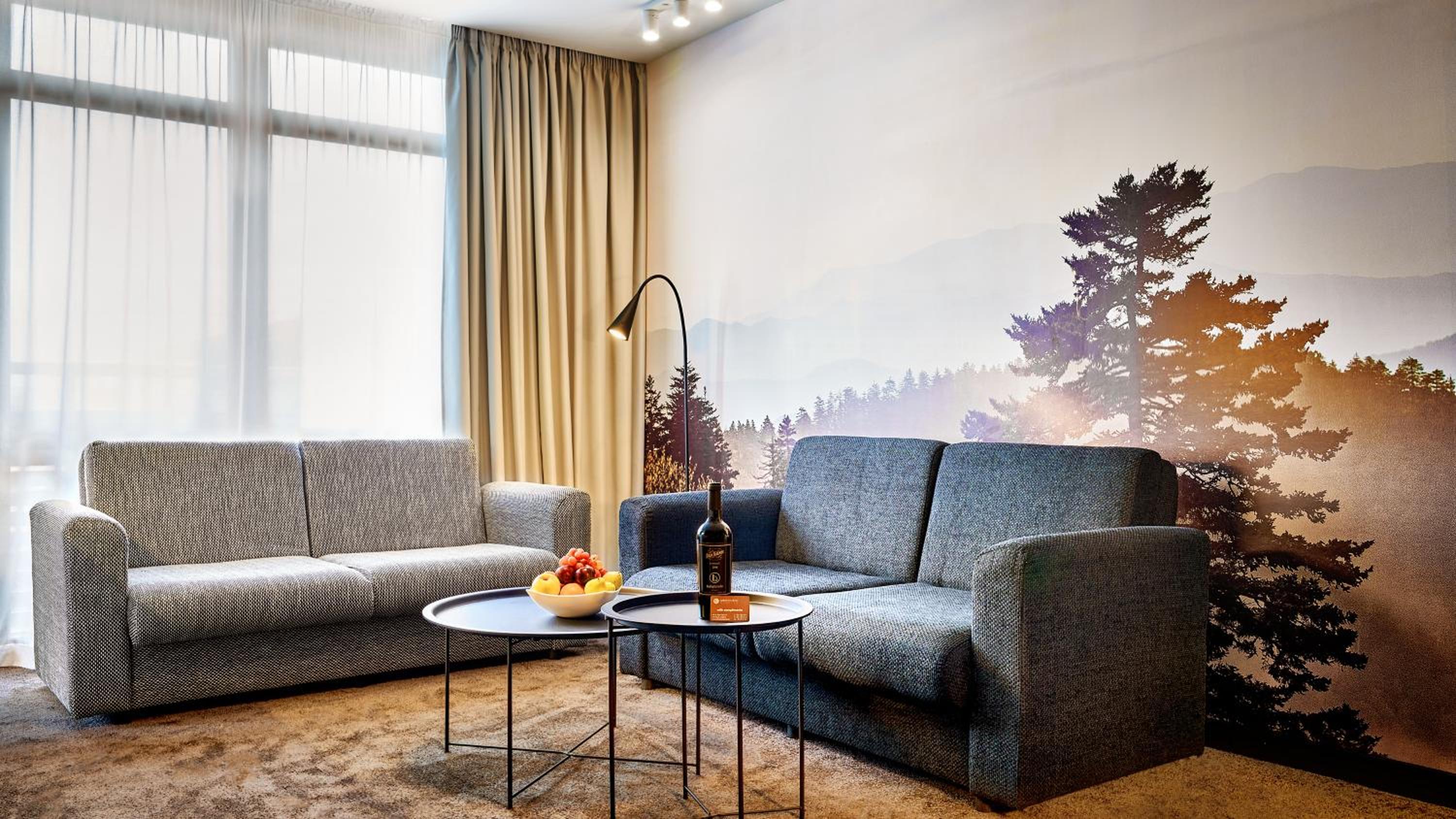 One-Bedroom Apartment Lux