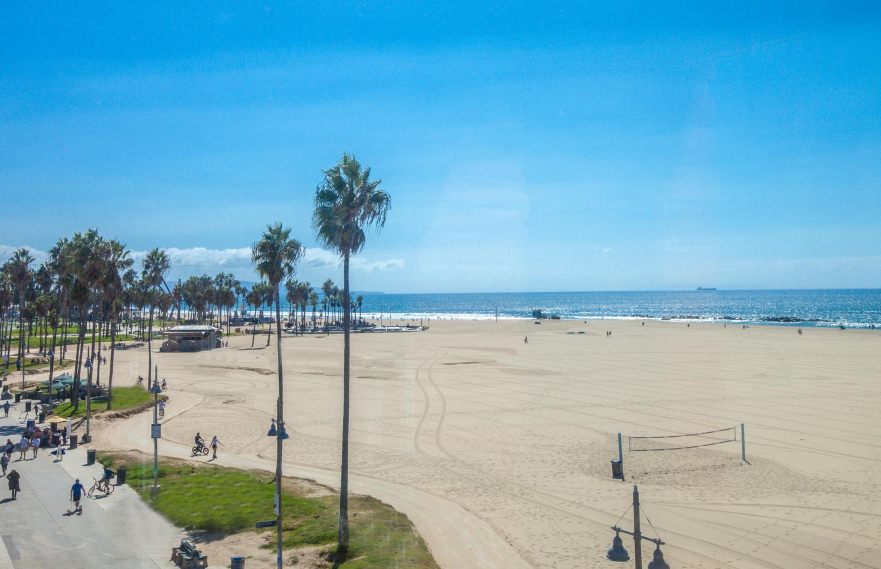 Oceanfront View One Bedroom Suite