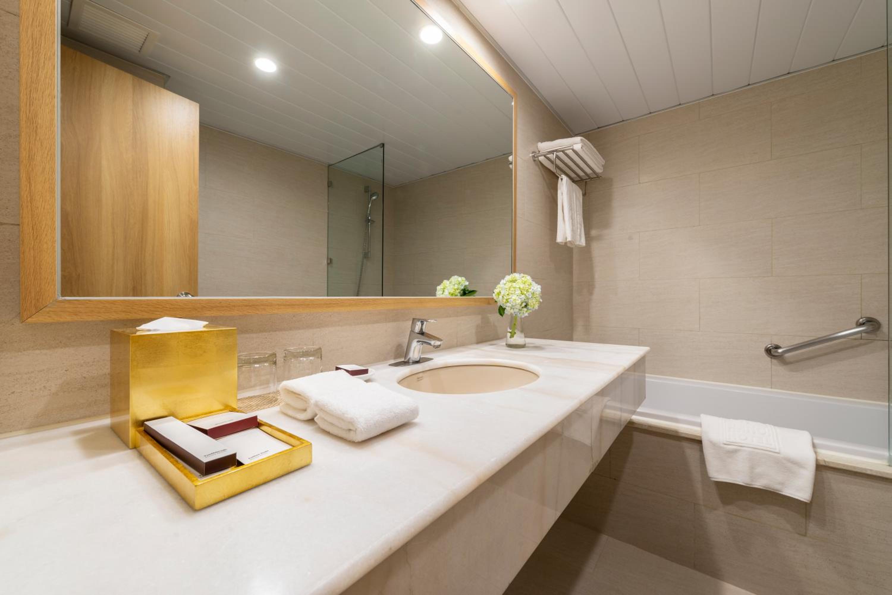 Premium Double or Twin Room