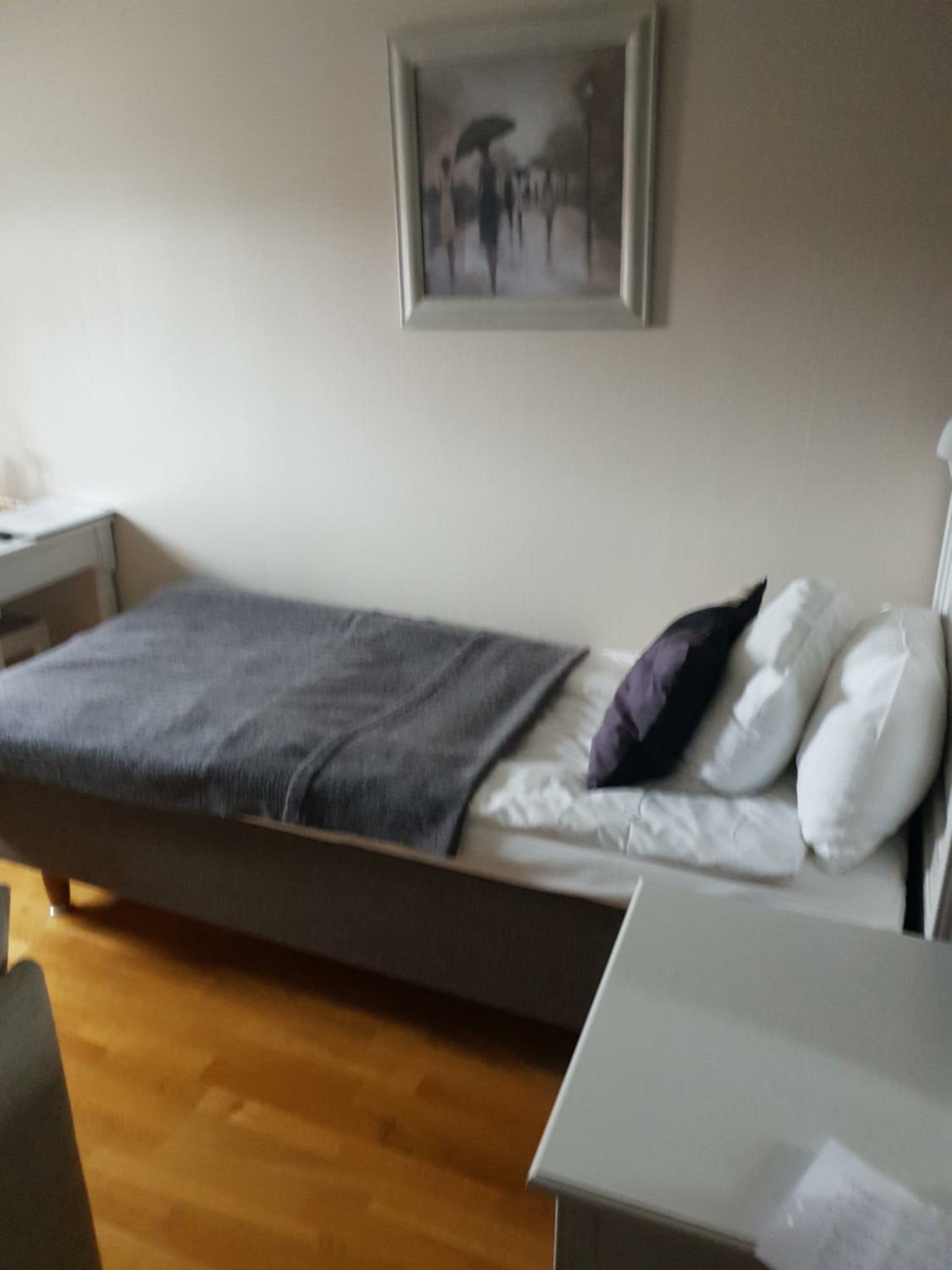 Single Room with Sofa Bed - Non-Smoking
