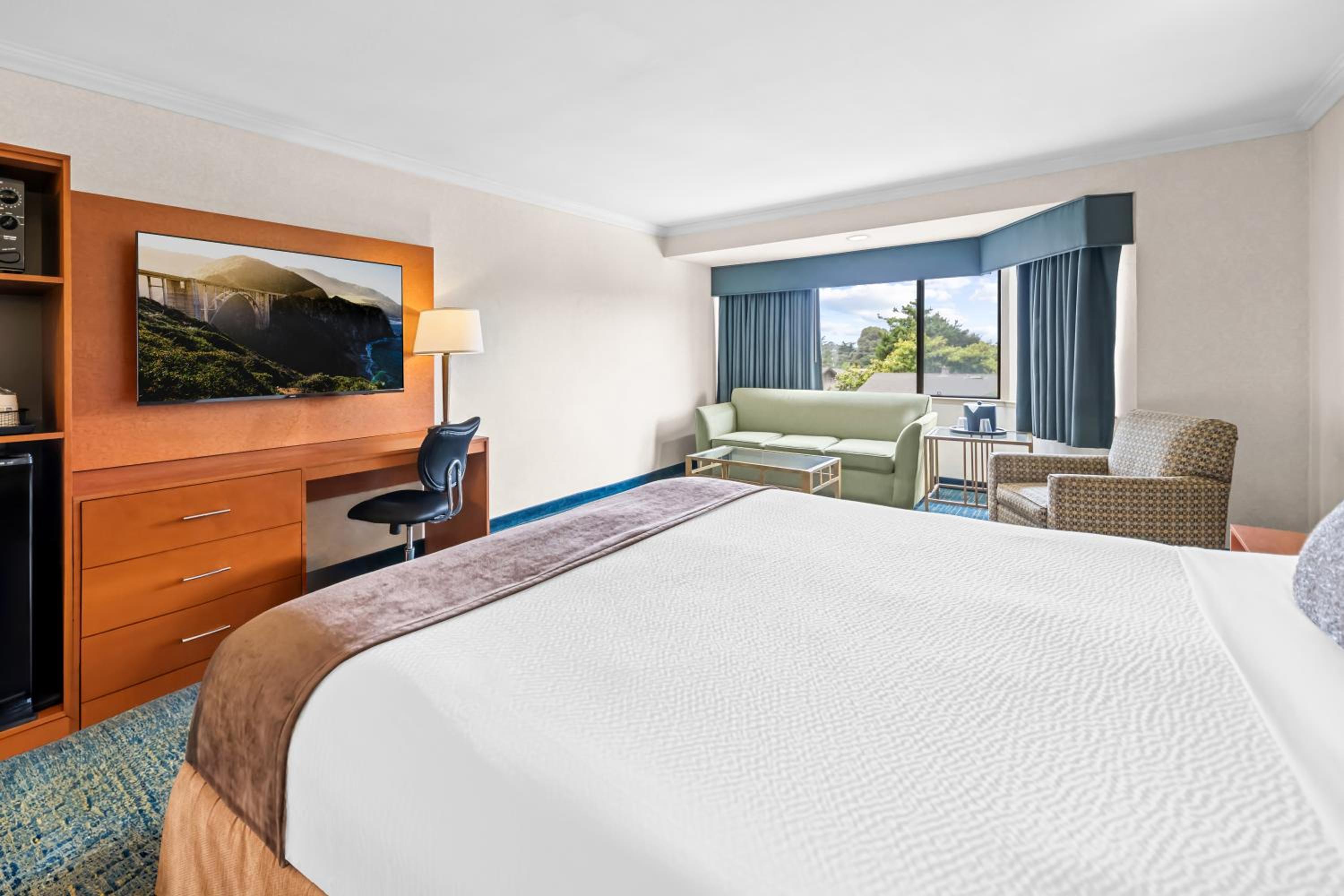 King Room - Pet Friendly/Non-Smoking