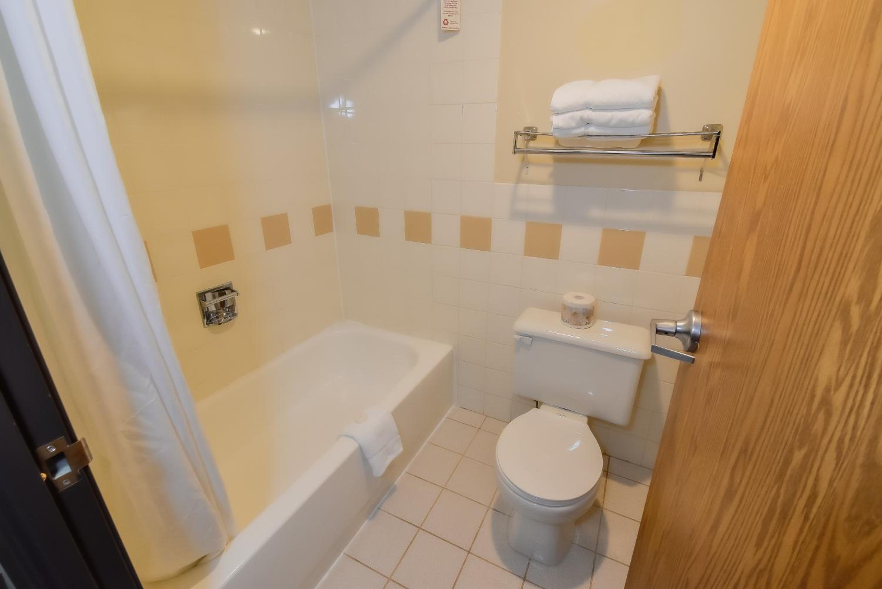 King Suite with Sofa Bed