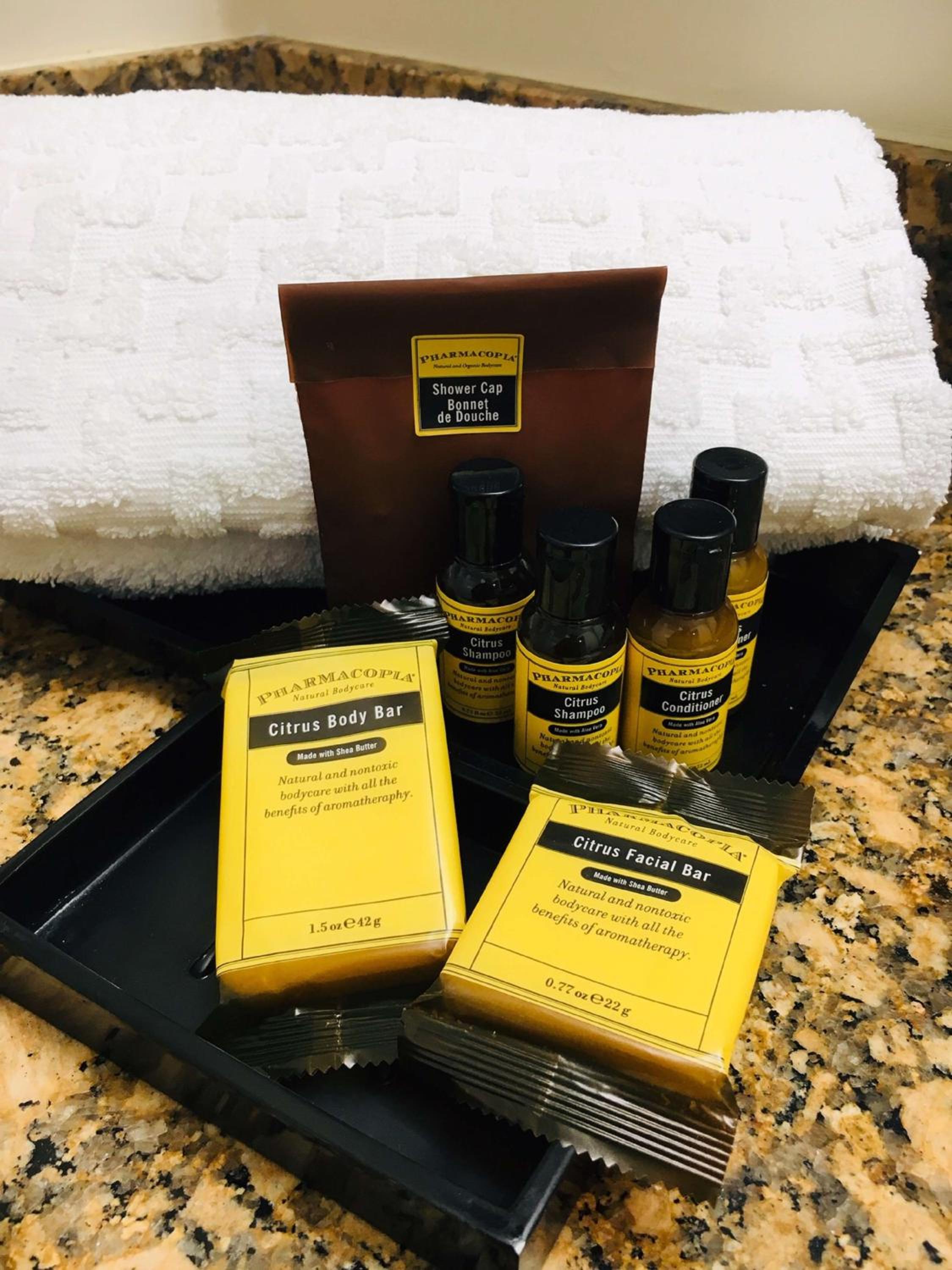 Family Queen Suite with Sofa Bed - Non-Smoking