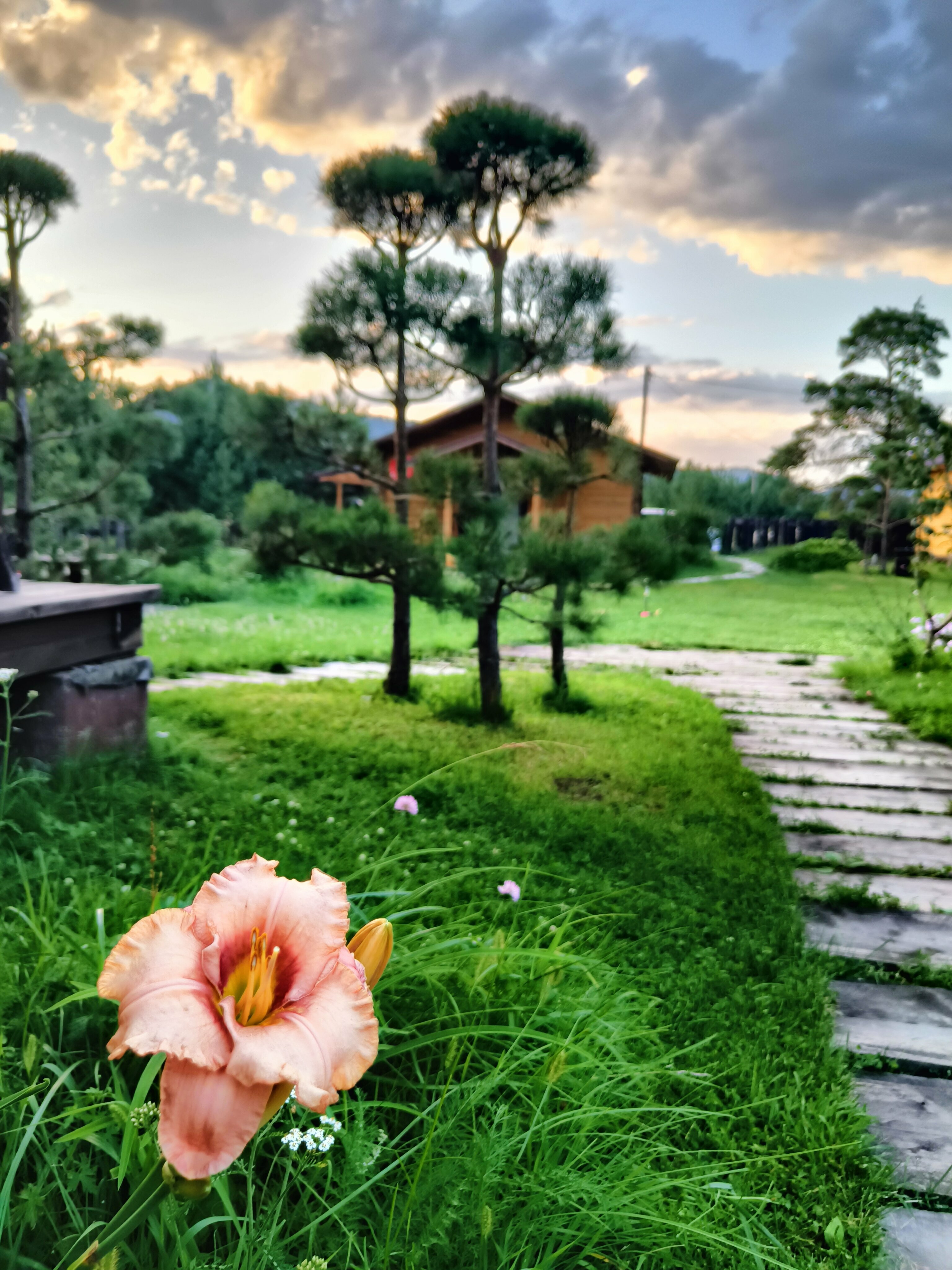 Четырехместный номер