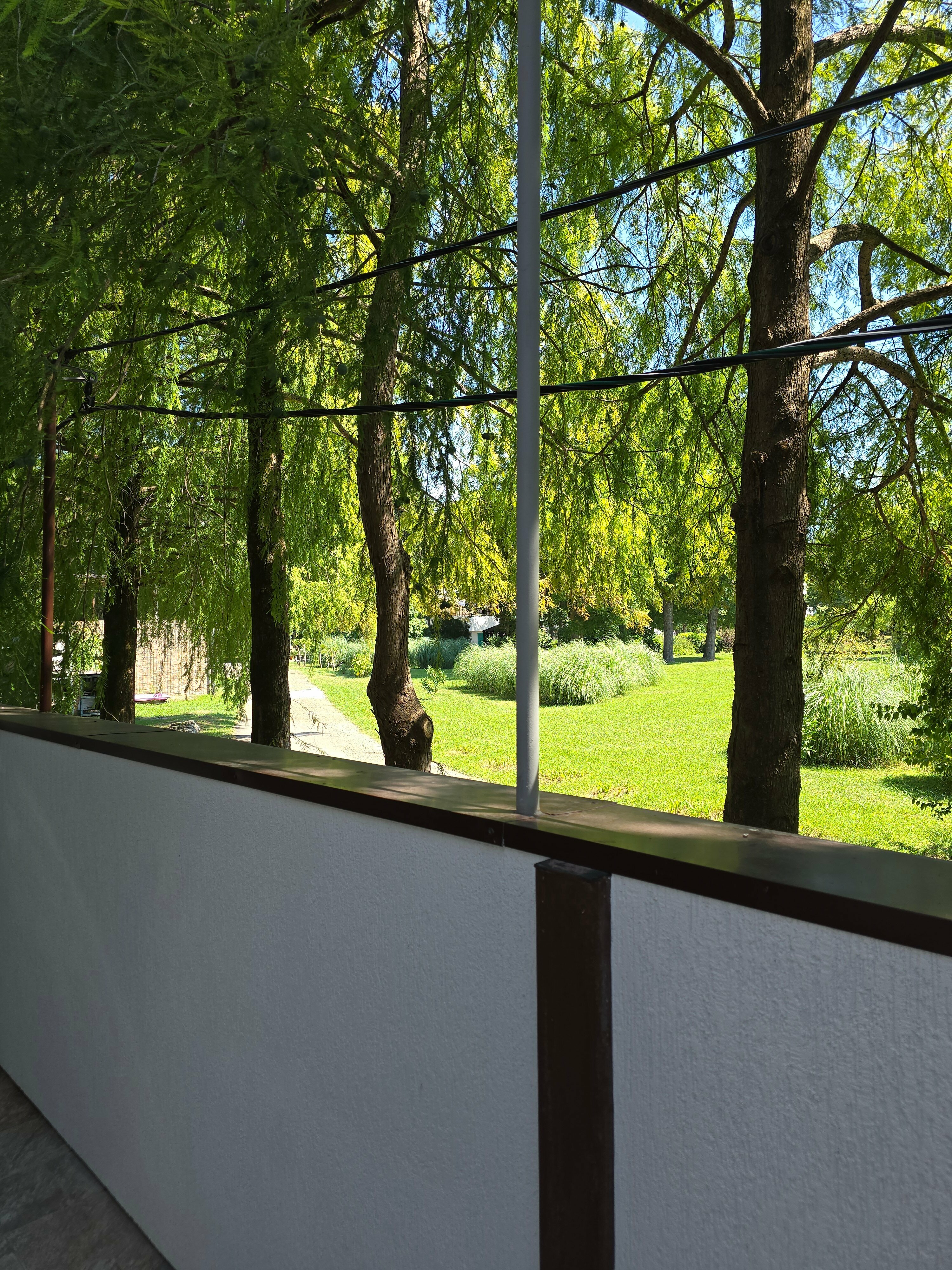 Трехместный номер с видом на сад