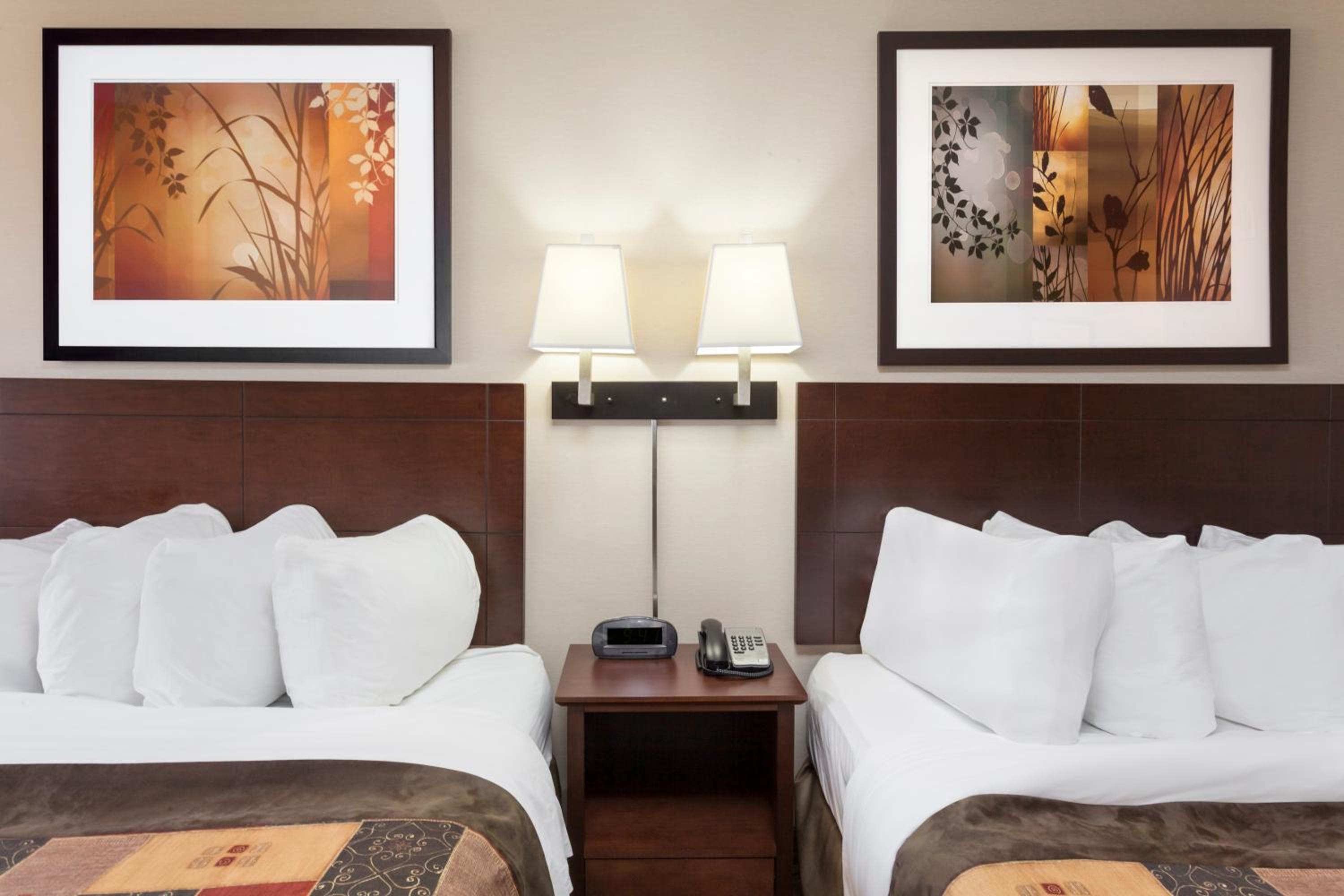 Queen Efficiency Pet-Friendly Studio with Two Queen Beds - Non-Smoking