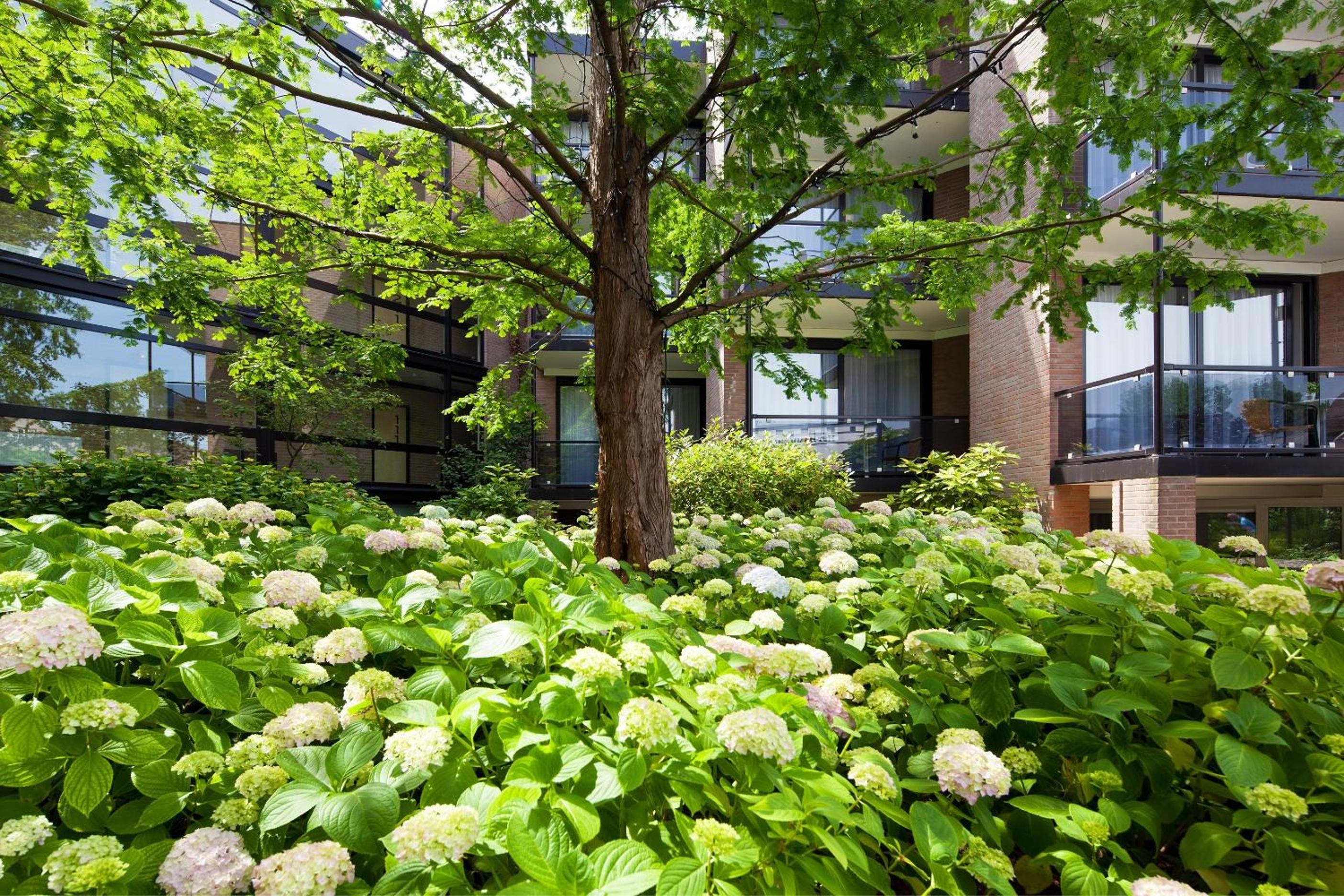 Comfort Room with balcony (courtyard view)