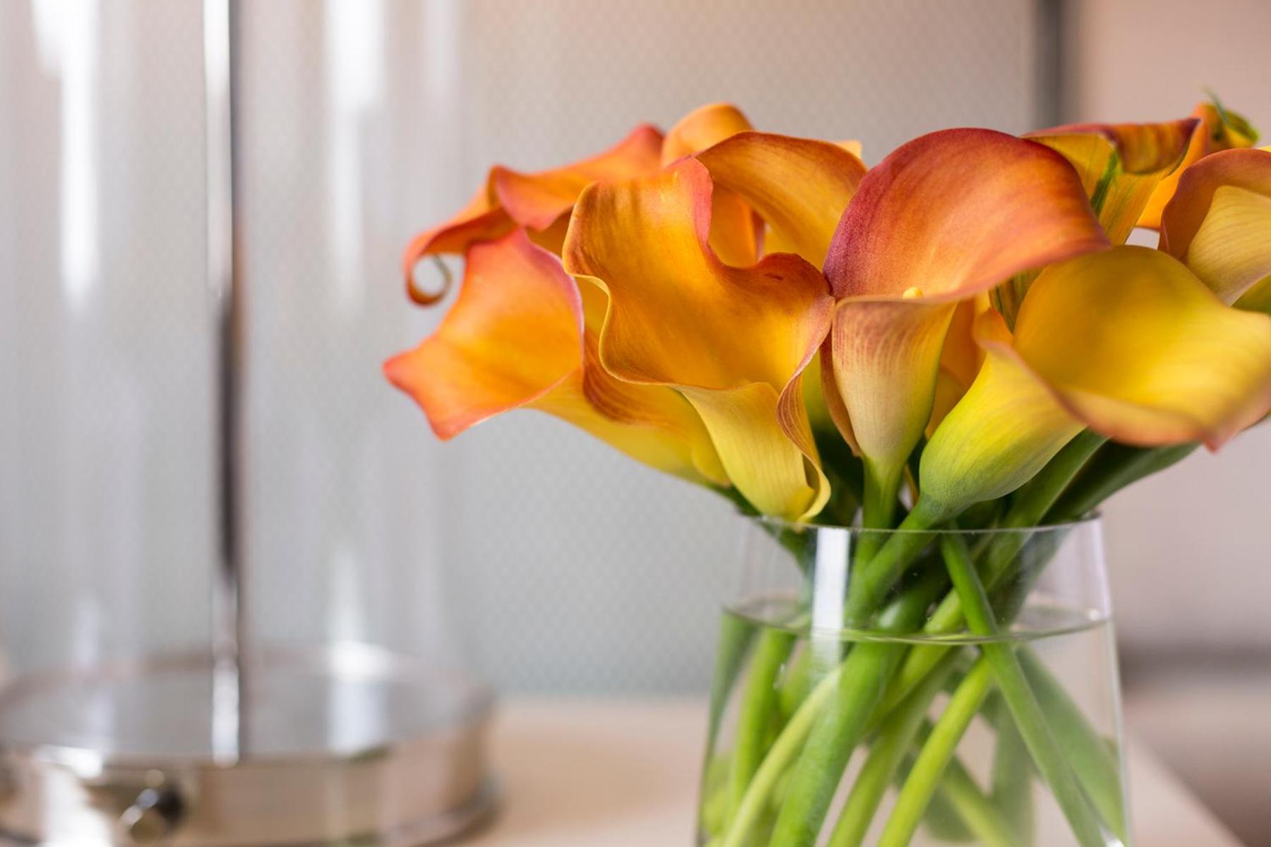 Deluxe King Room with City View