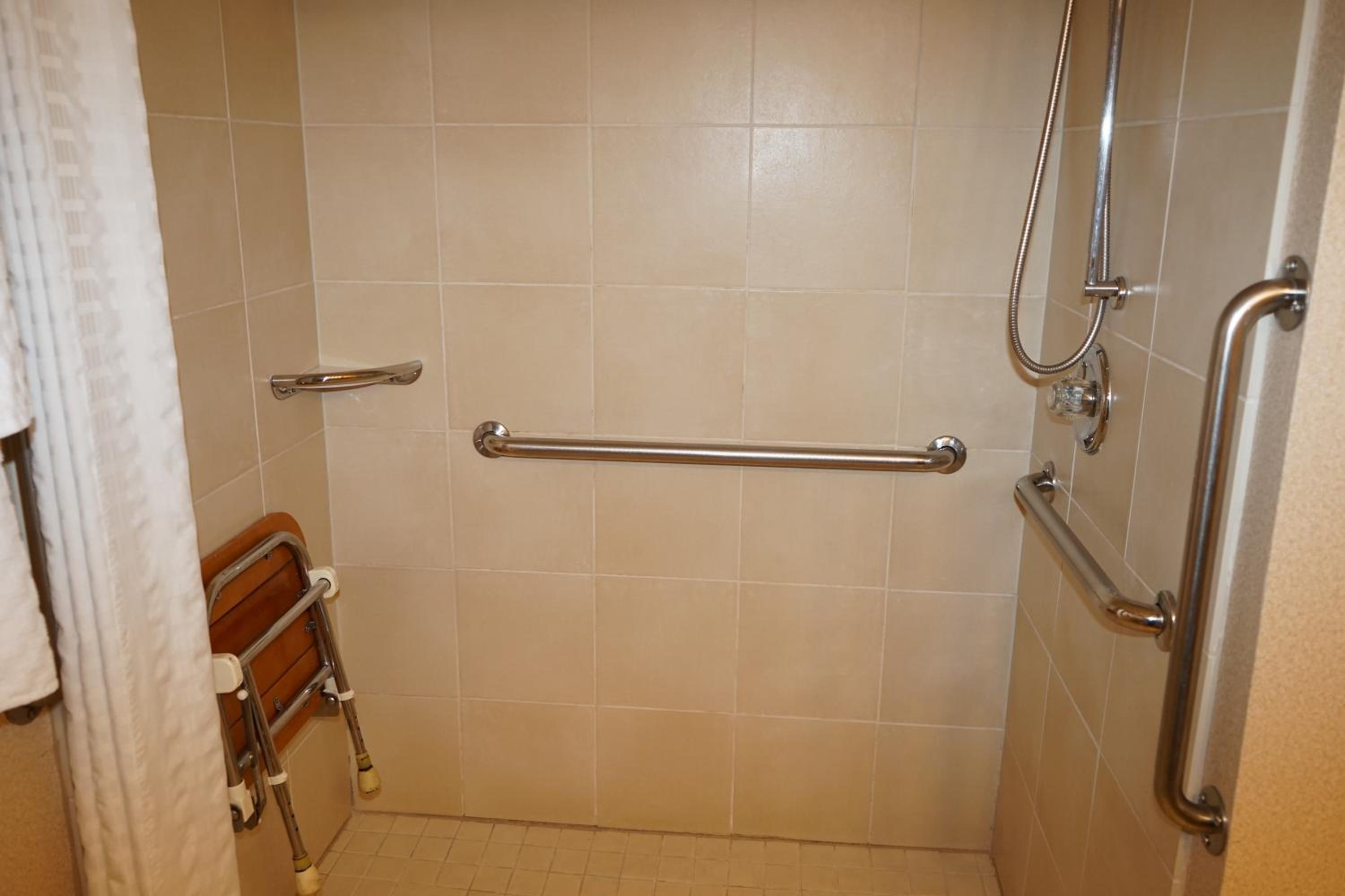 Queen Room with  Mobility Access and Roll-in Shower, Non-Smoking