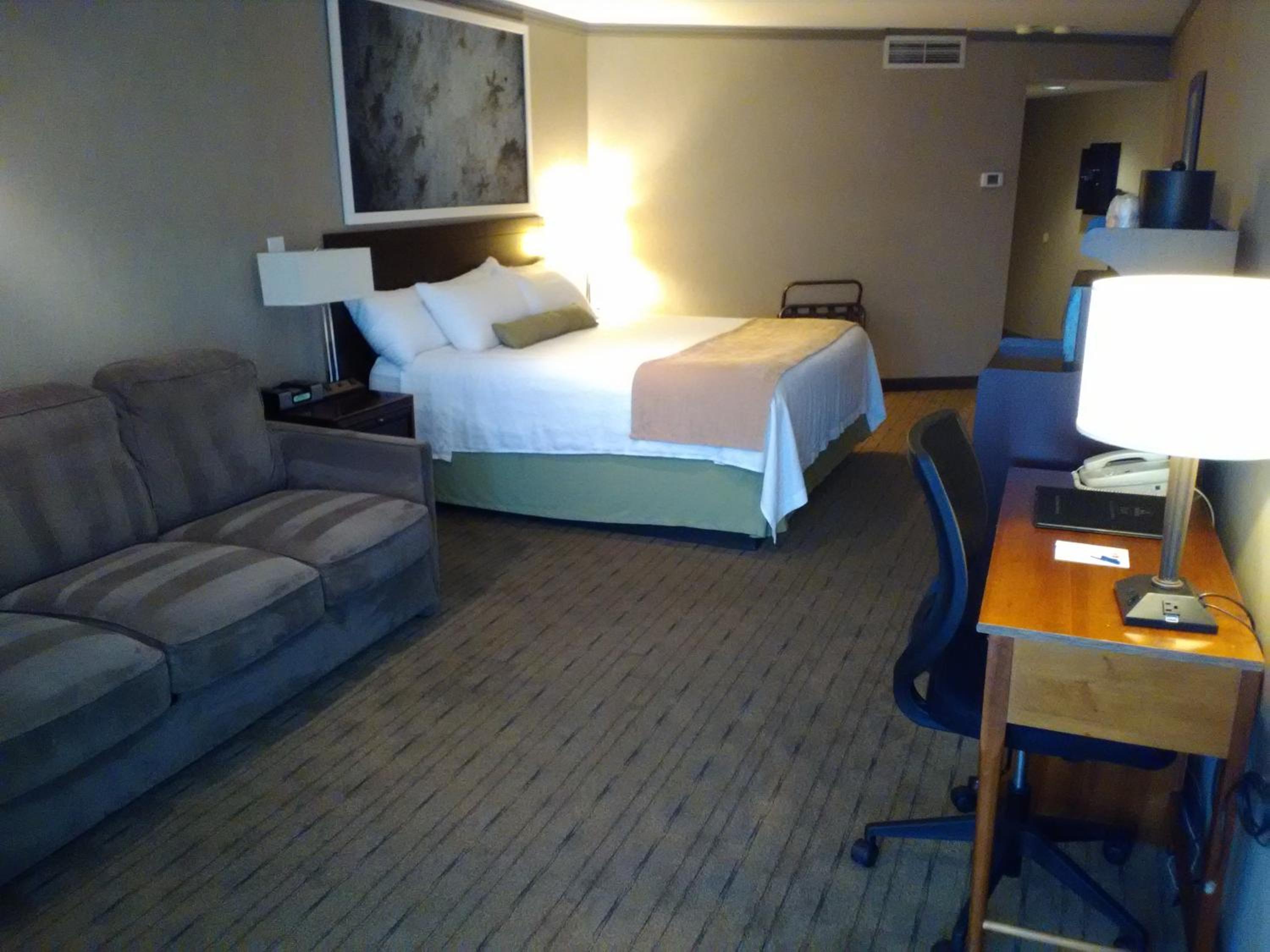 Deluxe King Room with Sofa Bed