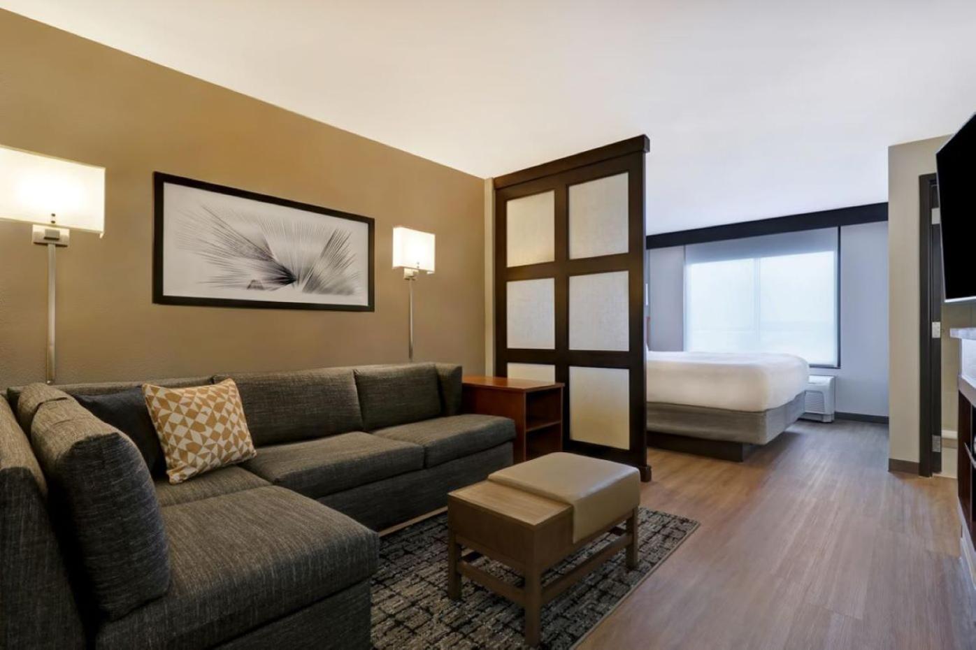 King Room with Sofa Bed and Accessible Tub - Disability Access