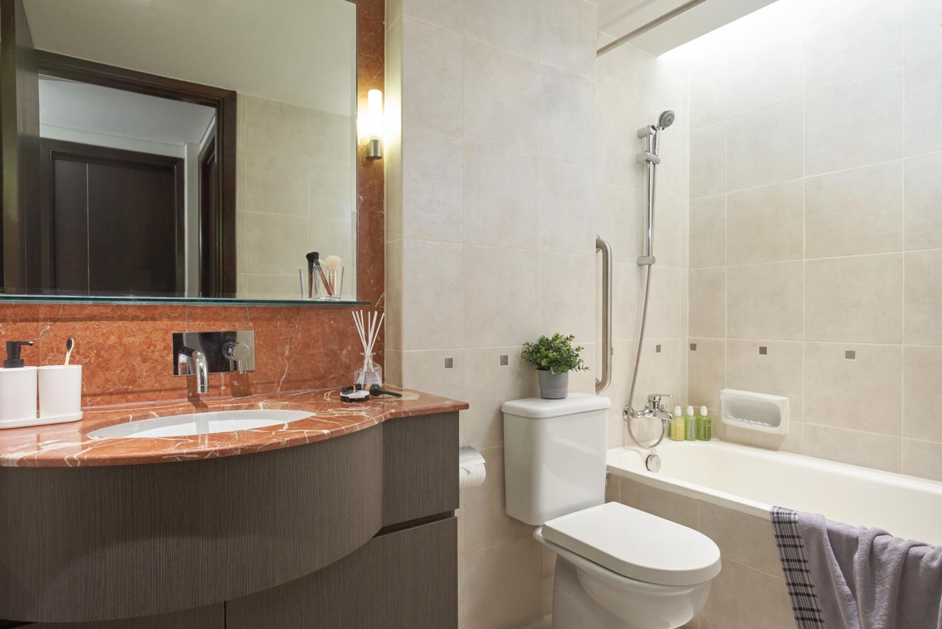 Deluxe One-Bedroom Apartment