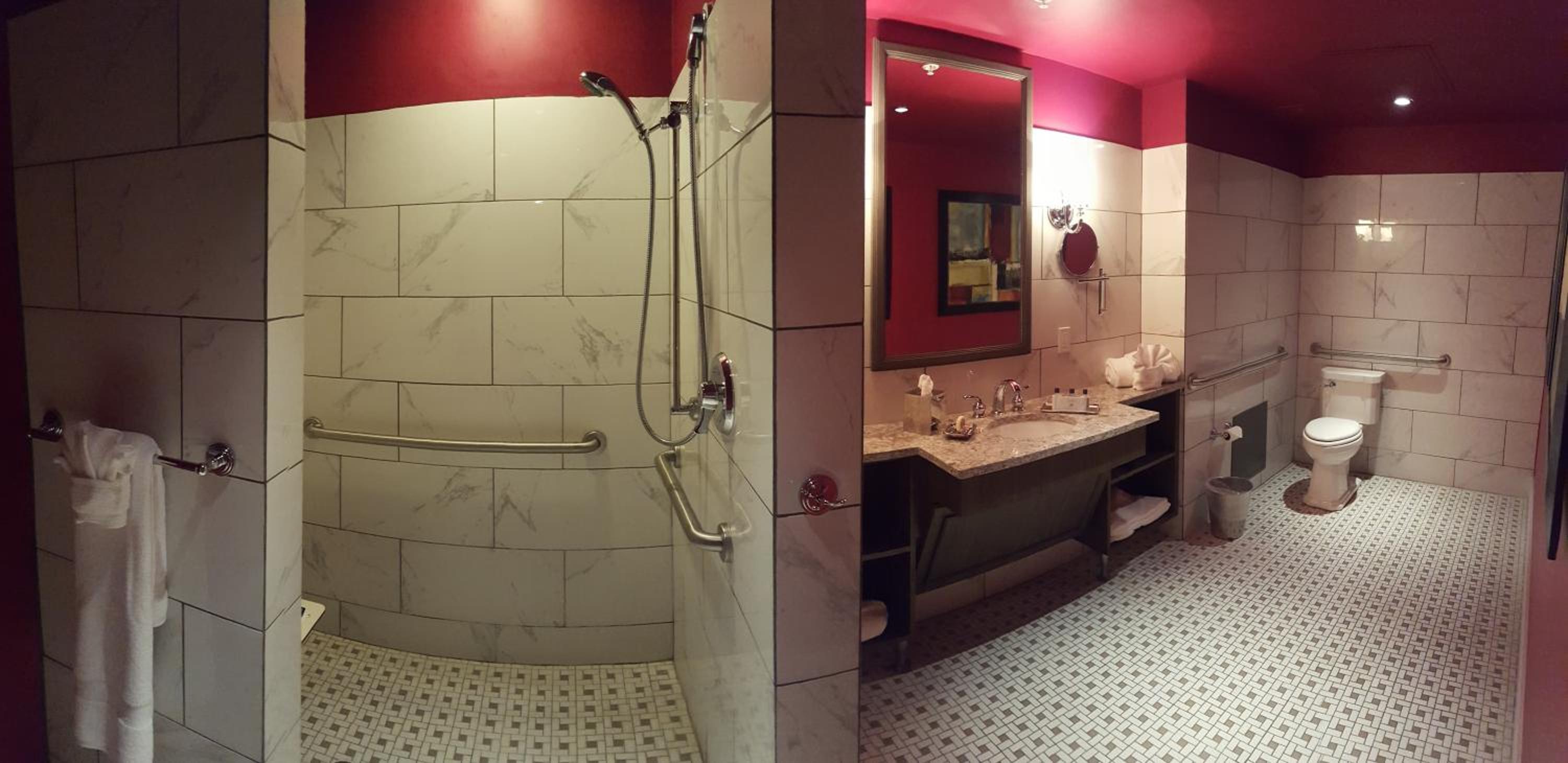 King Room Disability Access Walk In Shower Only