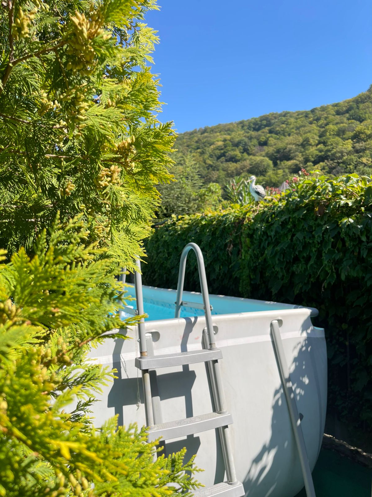 Четырехместный номер «Комфорт»