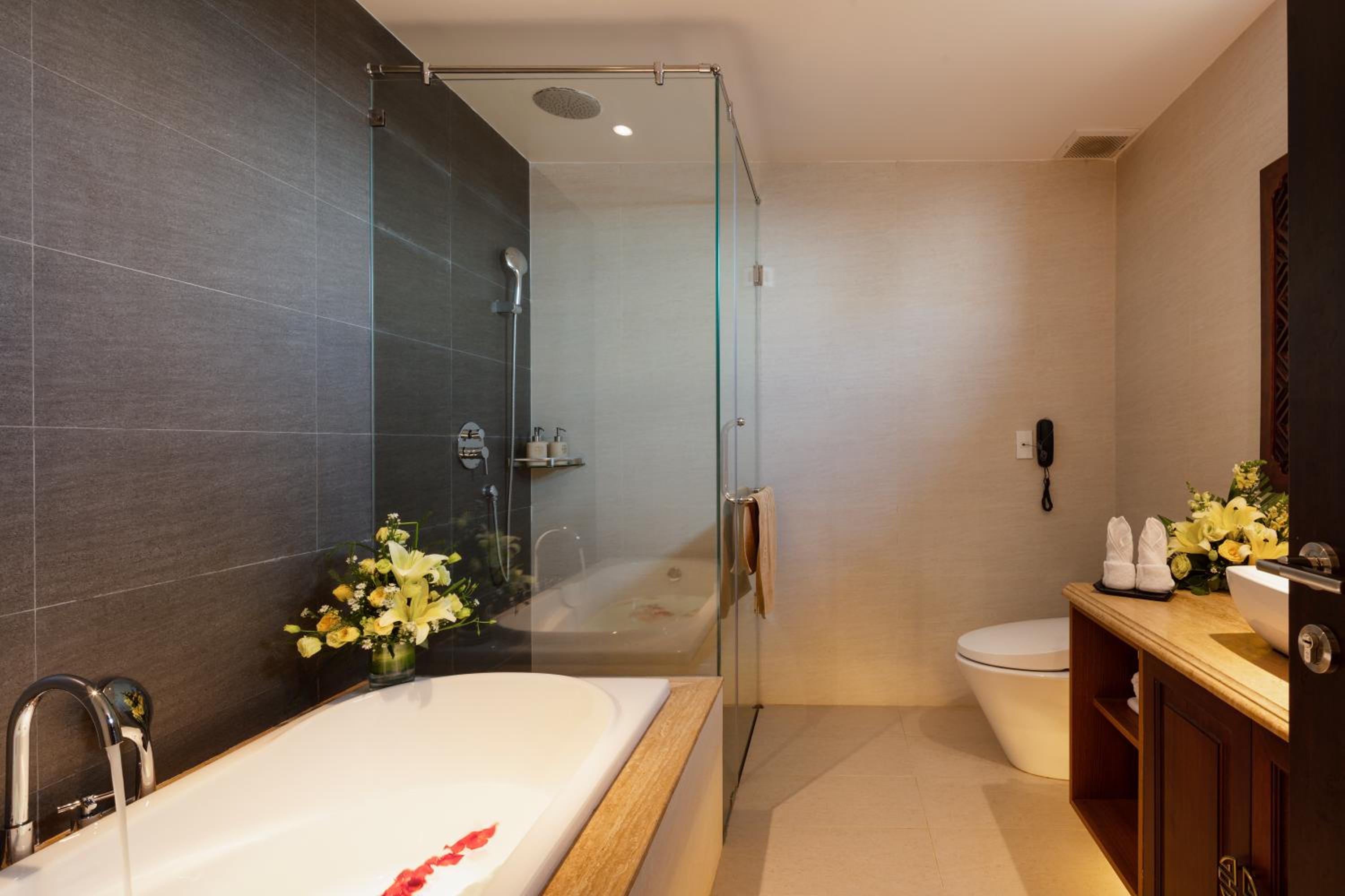 Premier Studio Suite