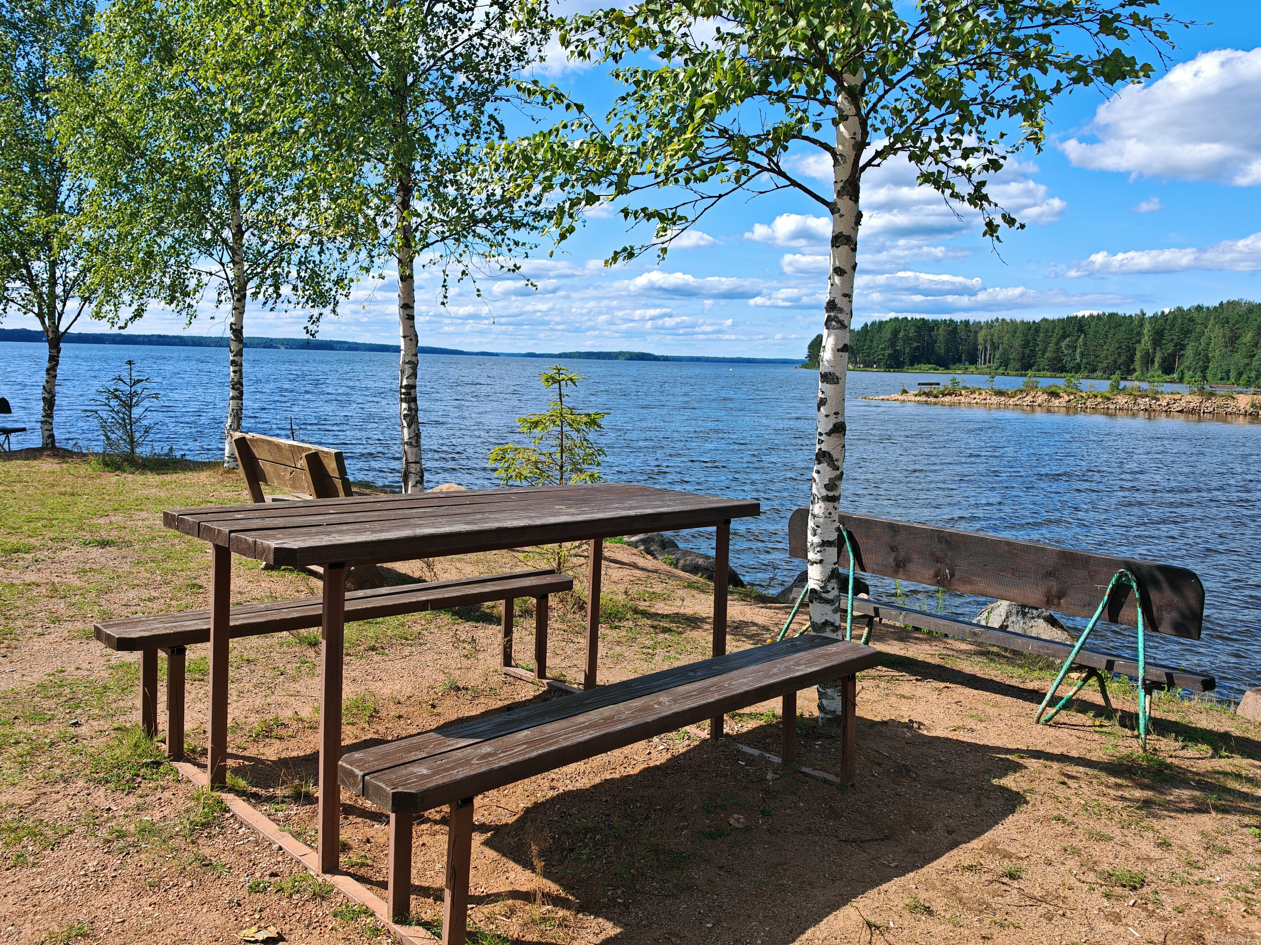 Коттедж с видом на лес