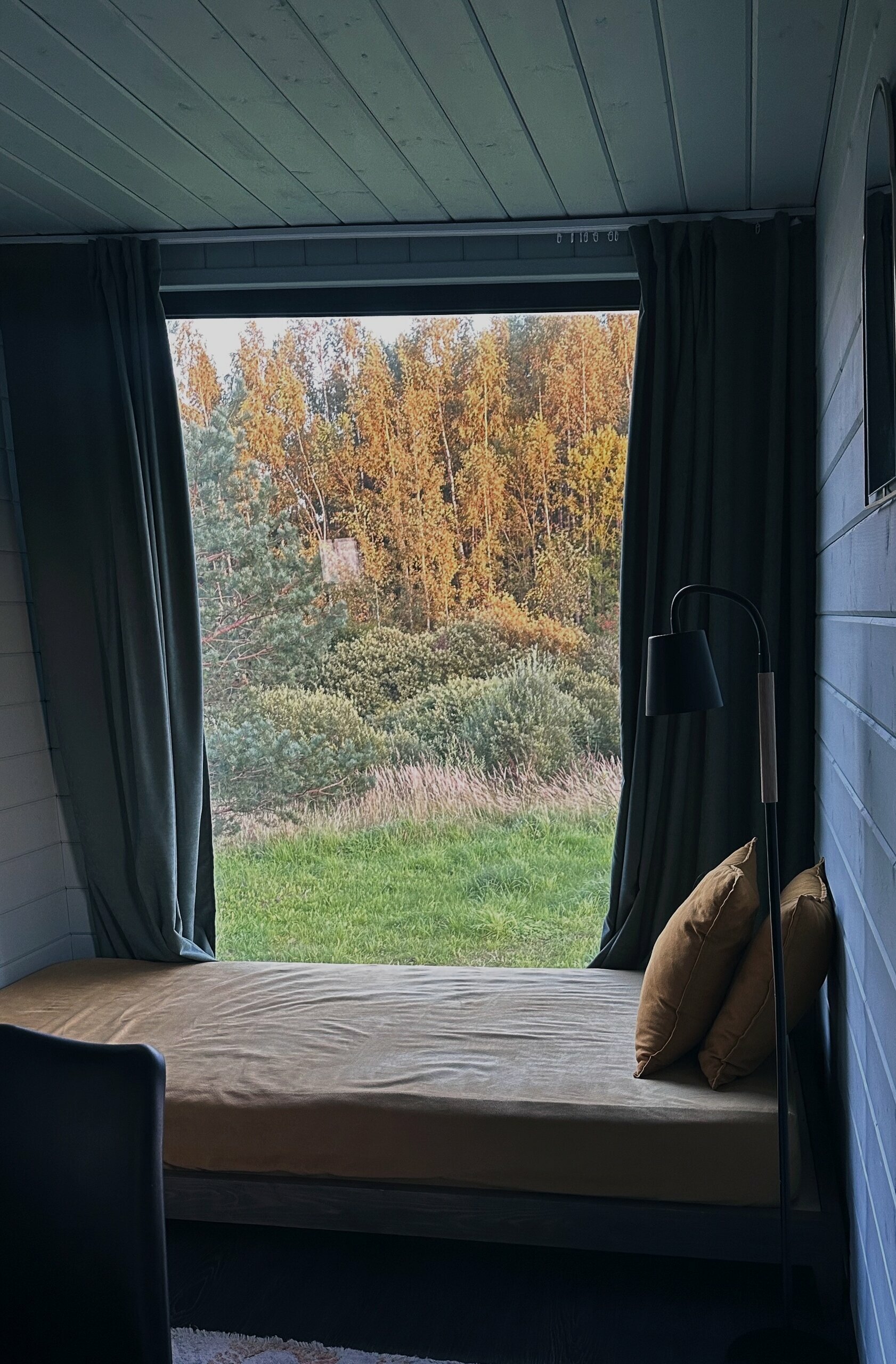 Барнхаус с видом на лес