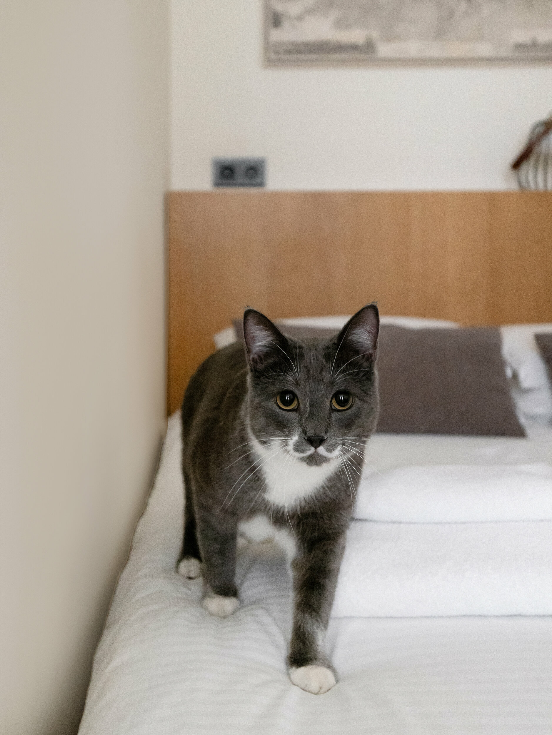 Трехместный номер