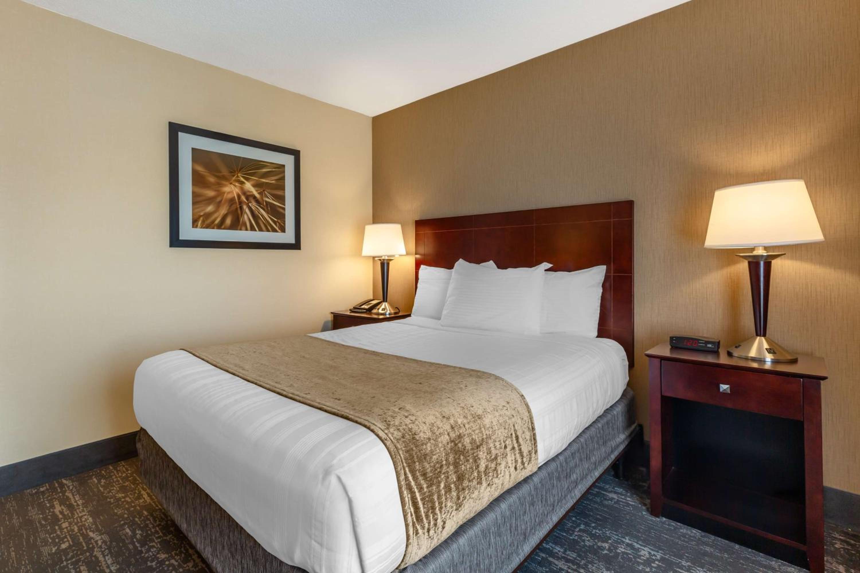 Double Room with Mobility Accessible Roll-In Shower