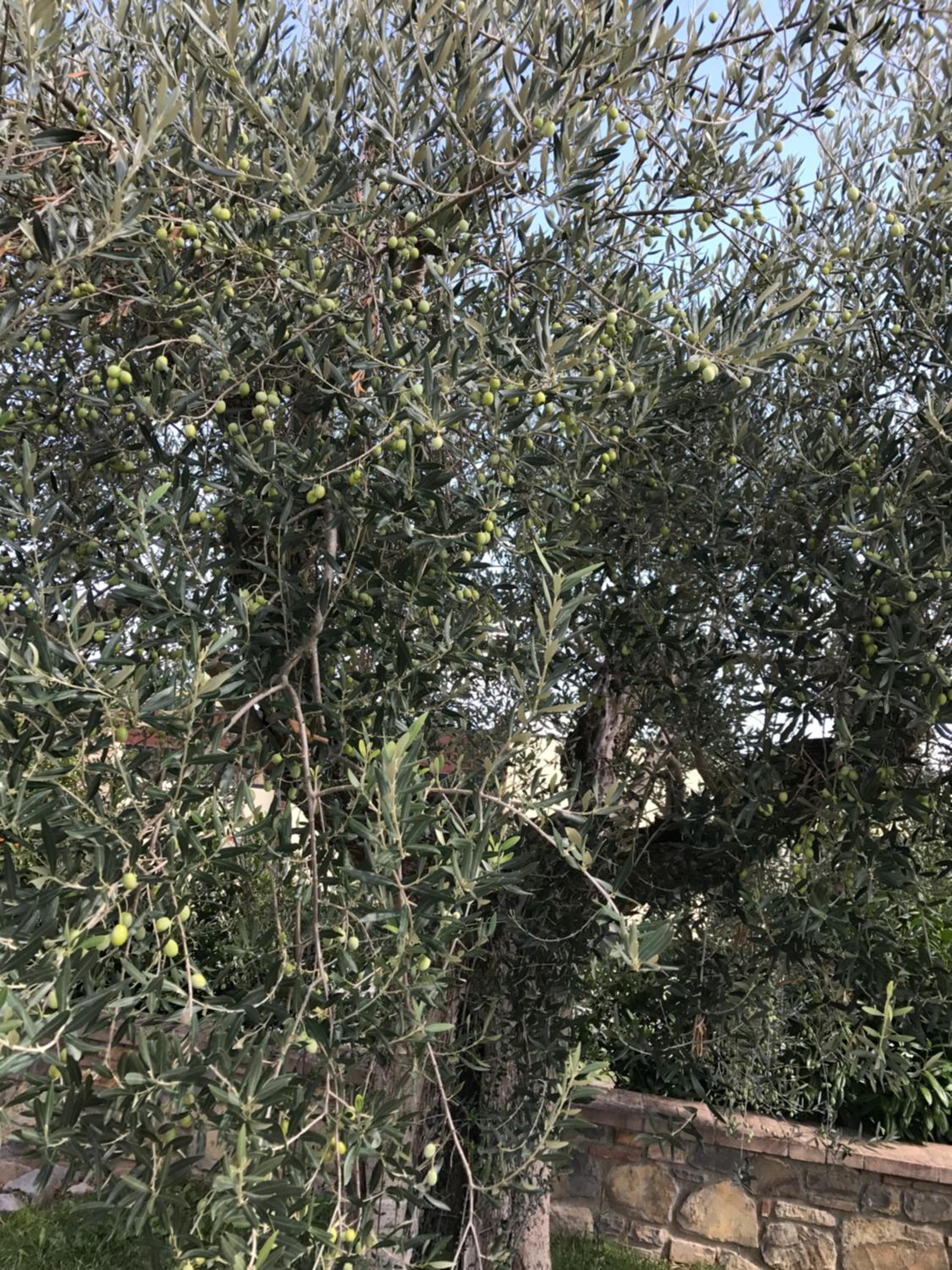 Family Apartment - Split Level