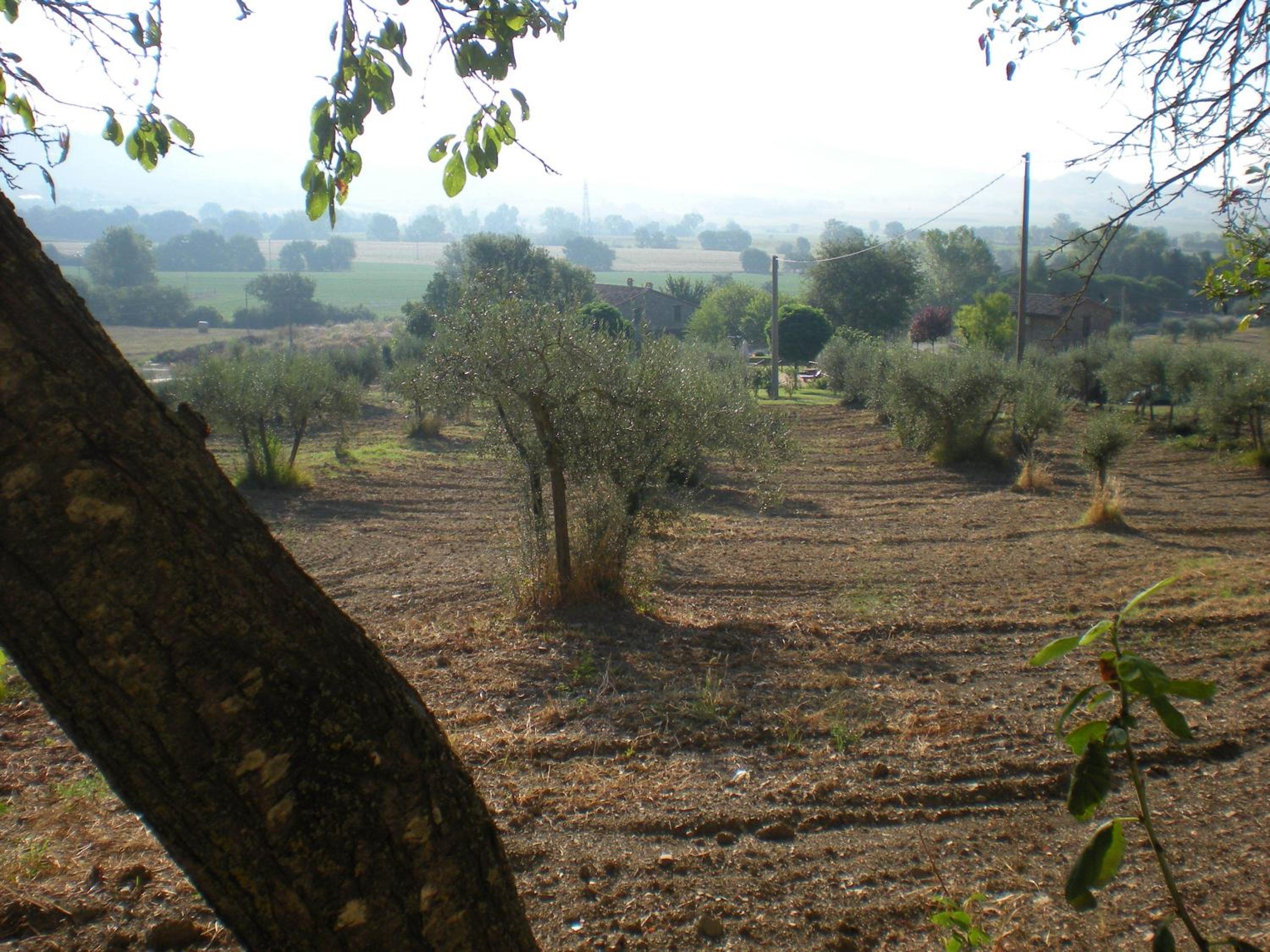 Family Apartment - Split Level