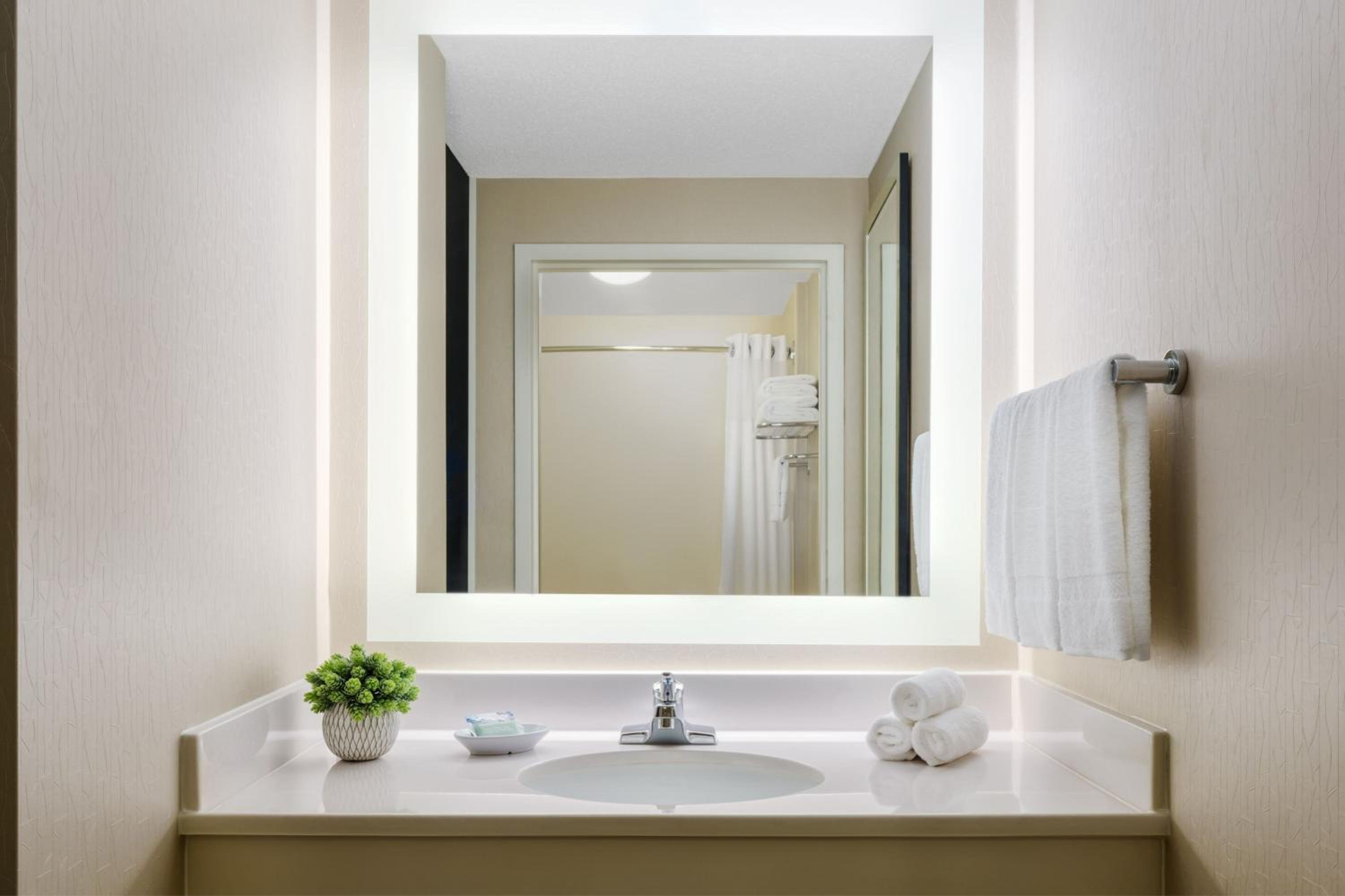 Executive Suite, 1 King, Sofa bed