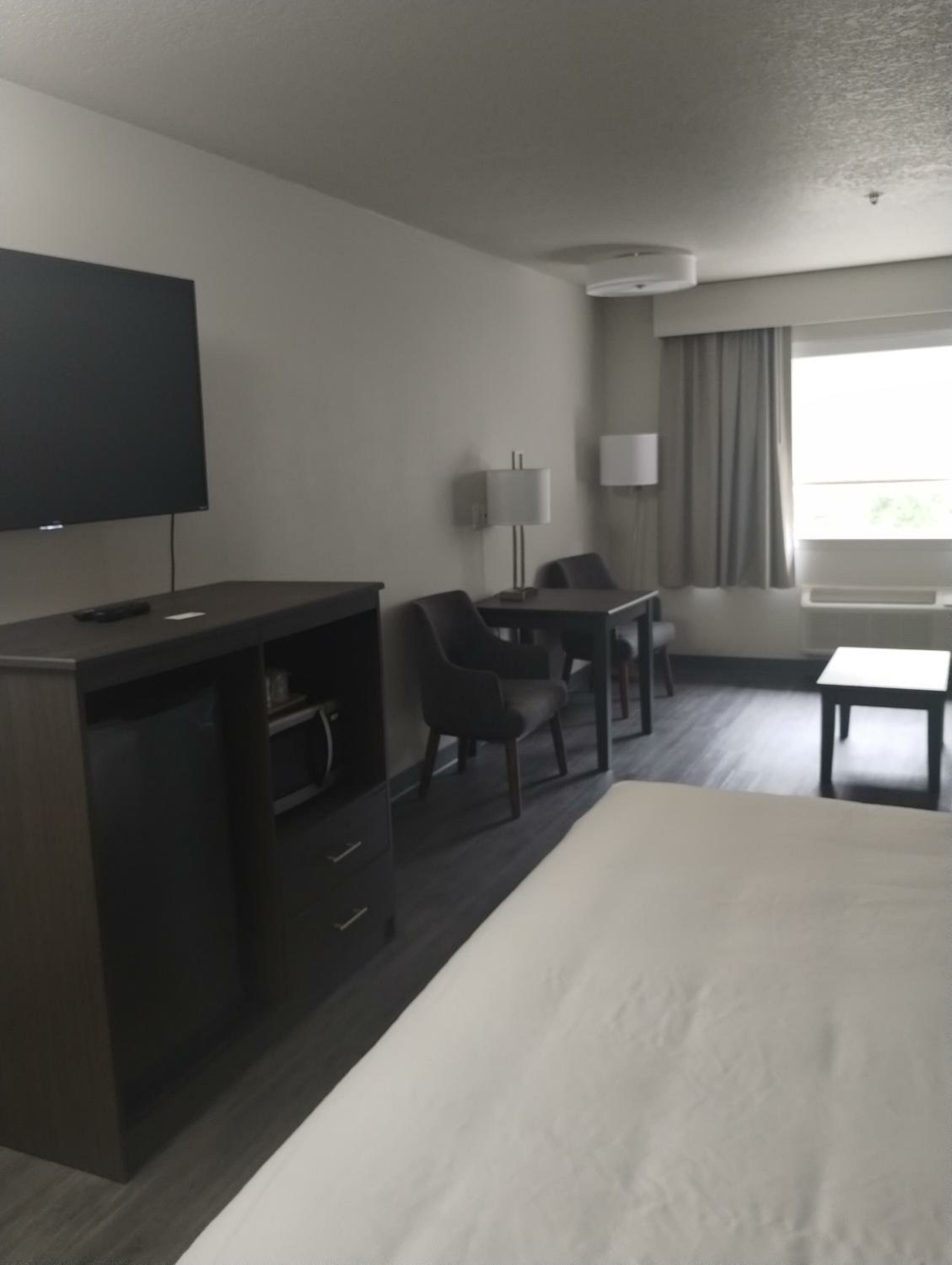 Standard King Room with Whirlpool in bath and Sofabed - Non Smoking 