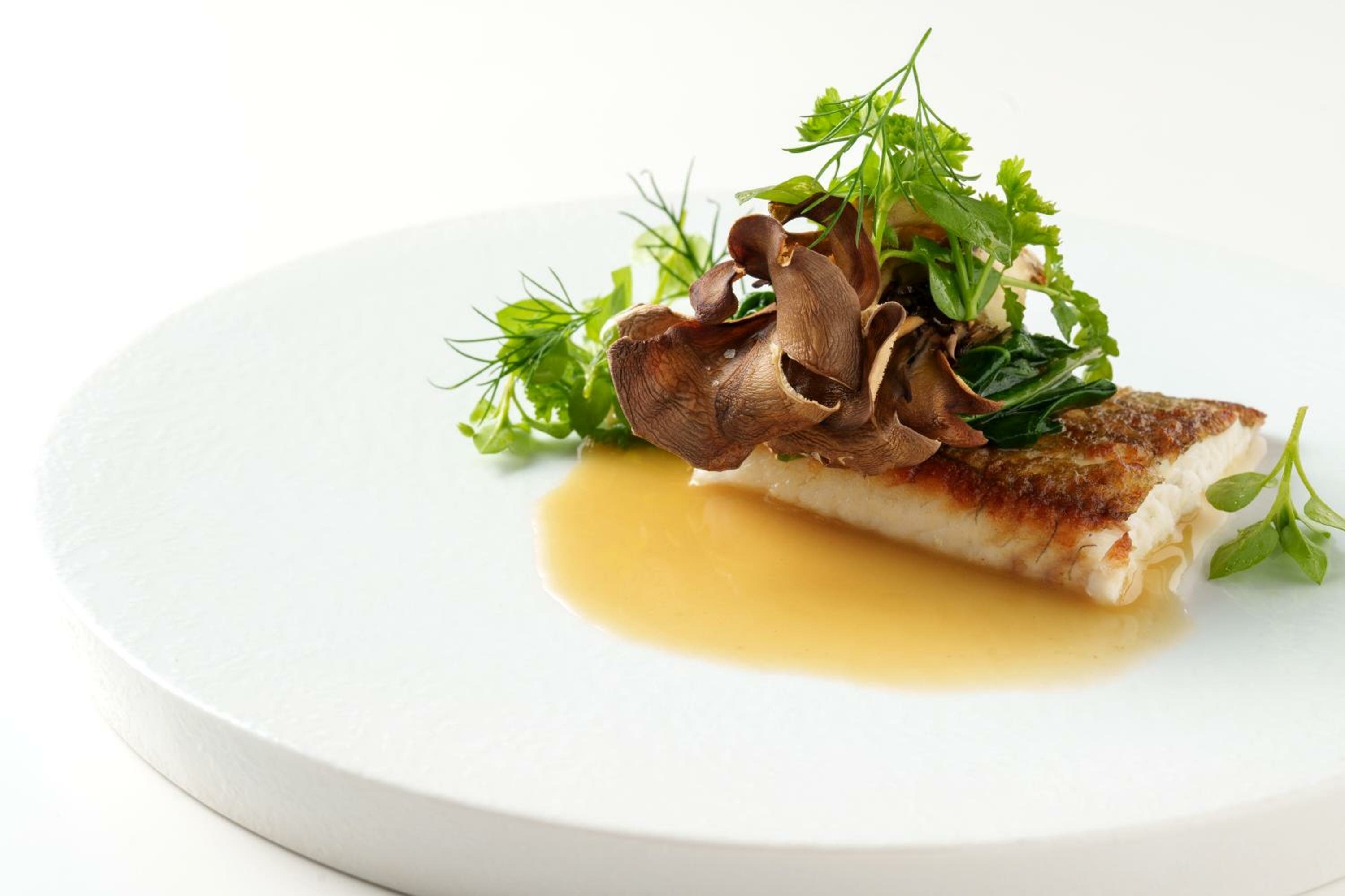 Cottage with Forest View French Dinner Included