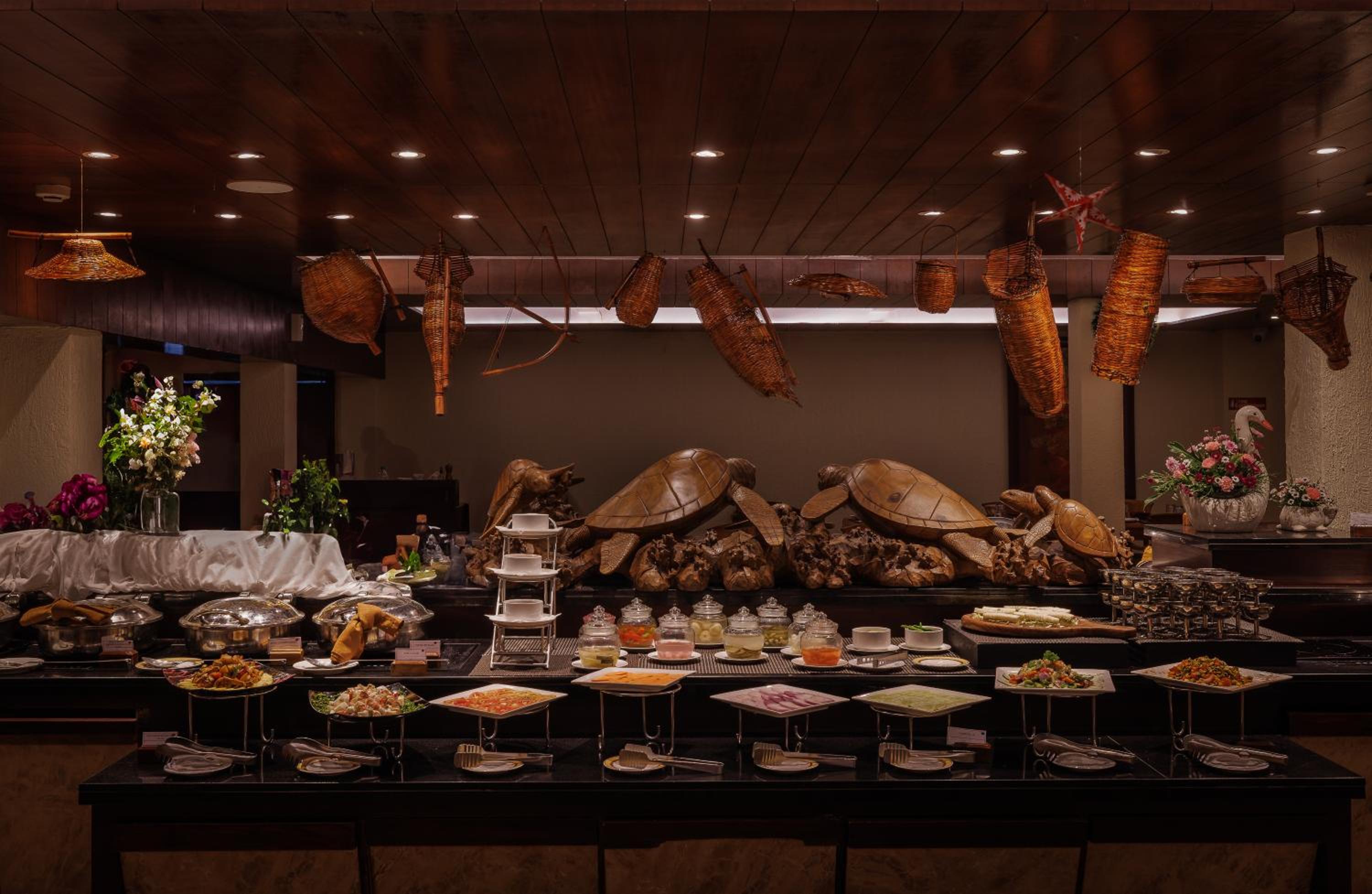 Turtle Signature Suite