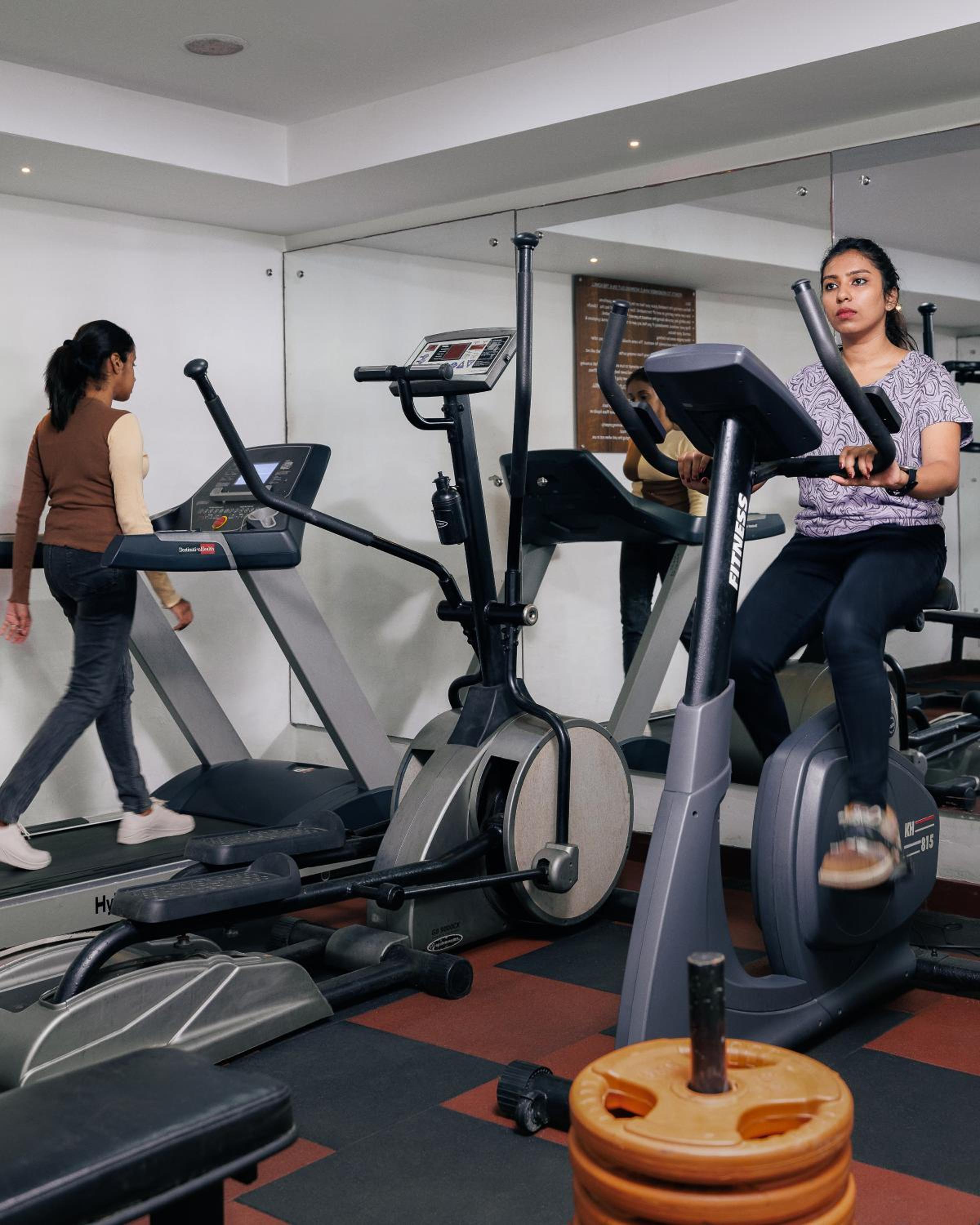 Turtle Signature Suite