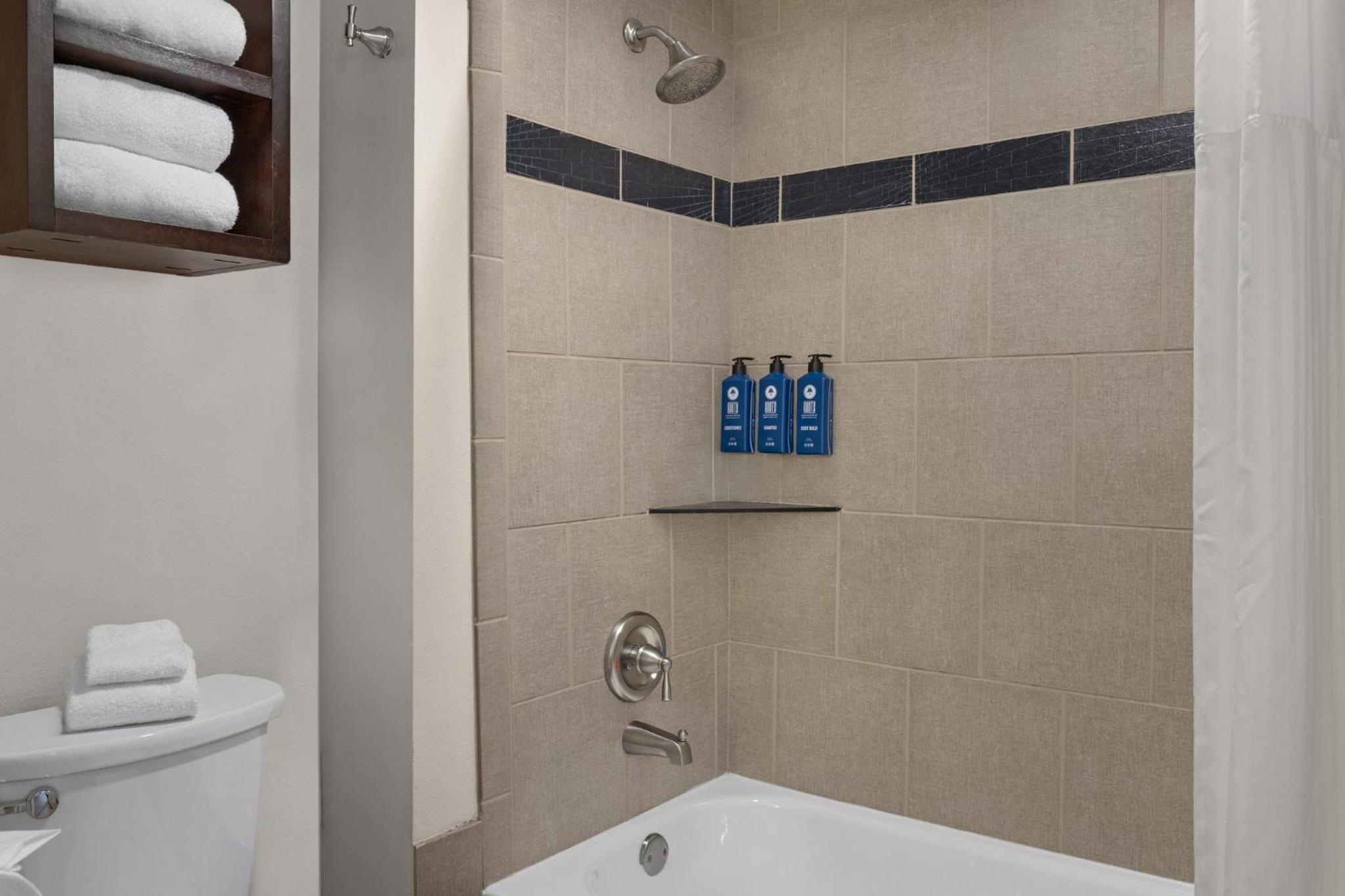 King Suite with Sofa Bed