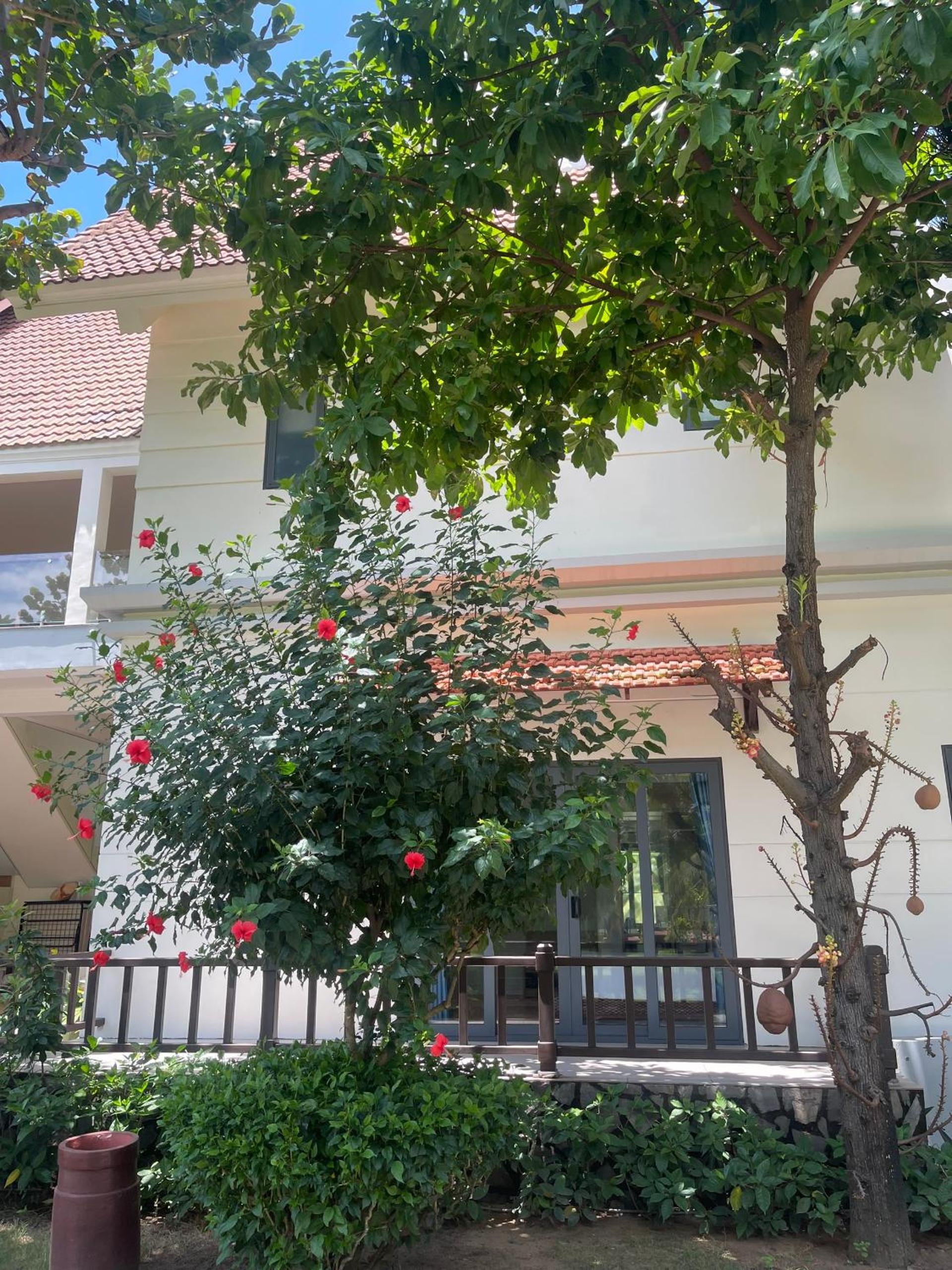 Senior Deluxe Double or Twin Room