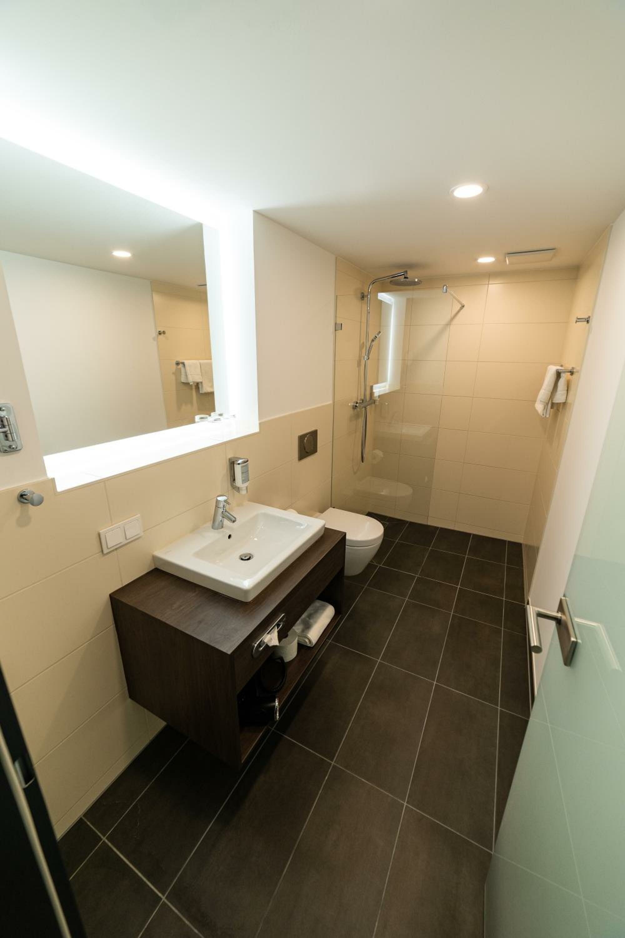 Deluxe Apartment Annex