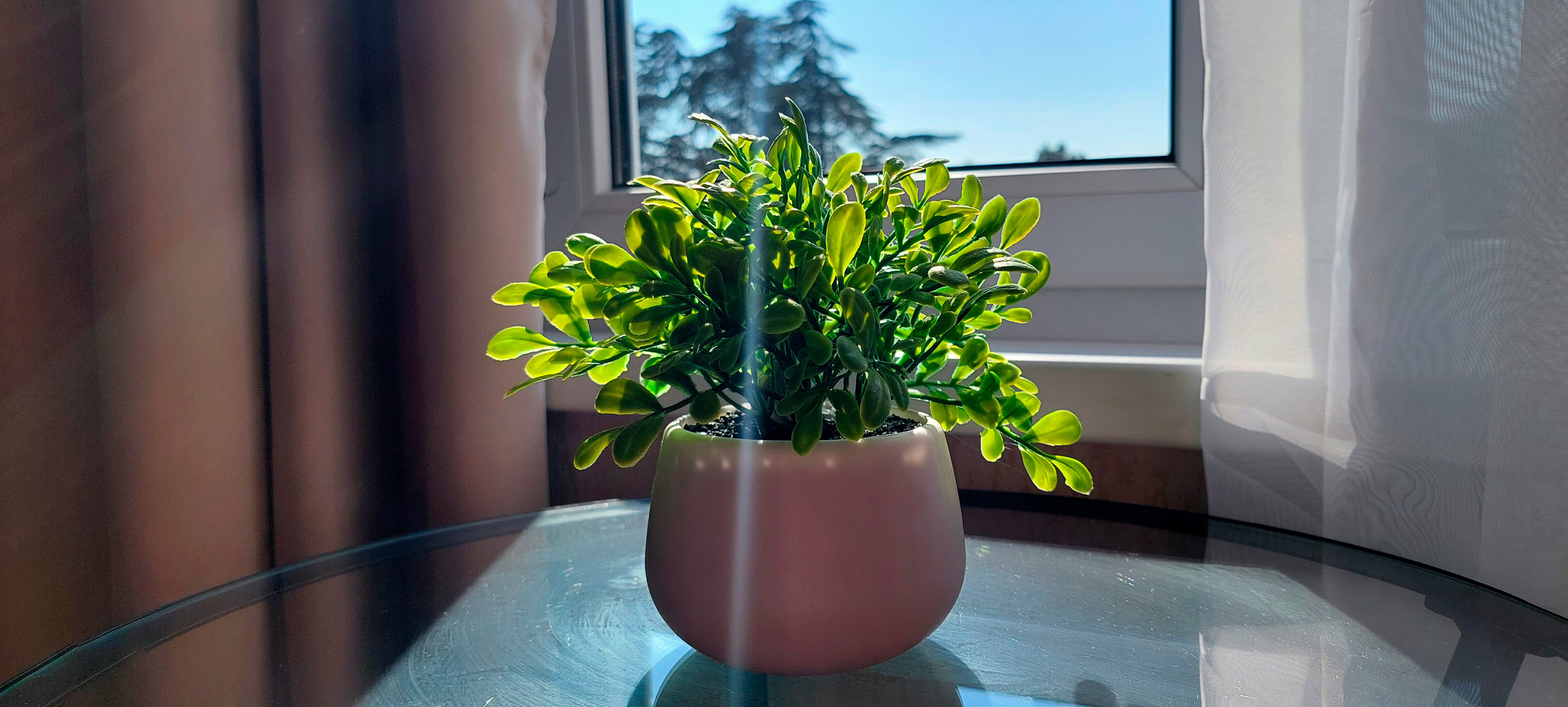 Двухместный номер с 1 кроватью и видом на горы