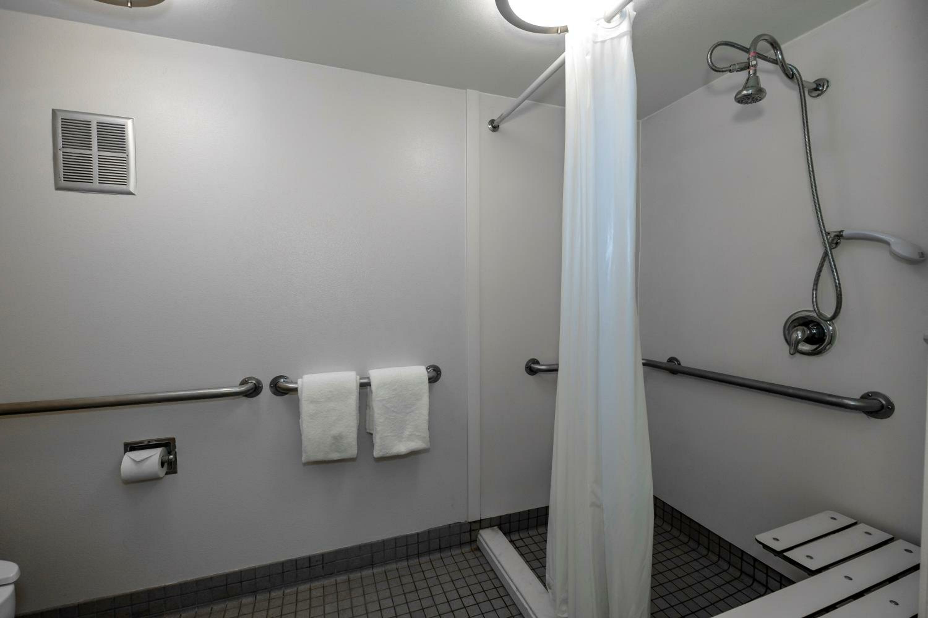Business King Room Disability Access Roll-In Shower Smoke Free