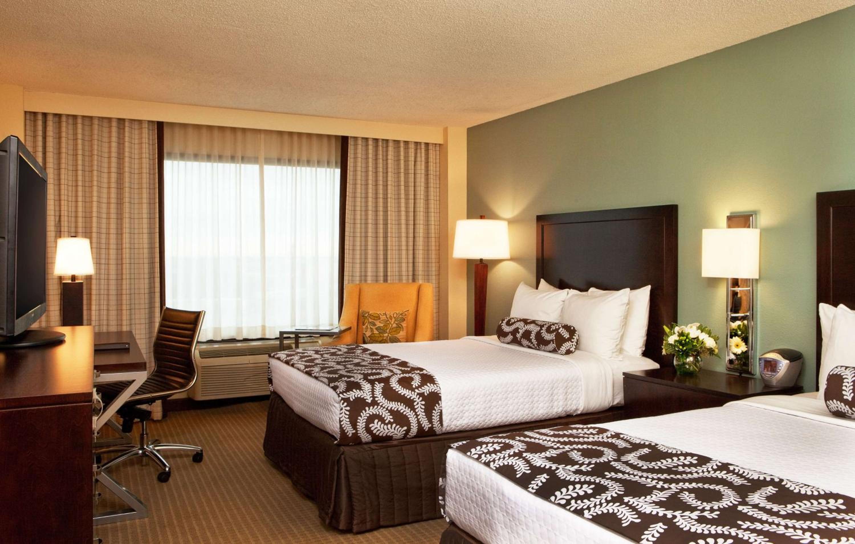 Mobility Accessible Deluxe Double Room with Roll-In Shower 