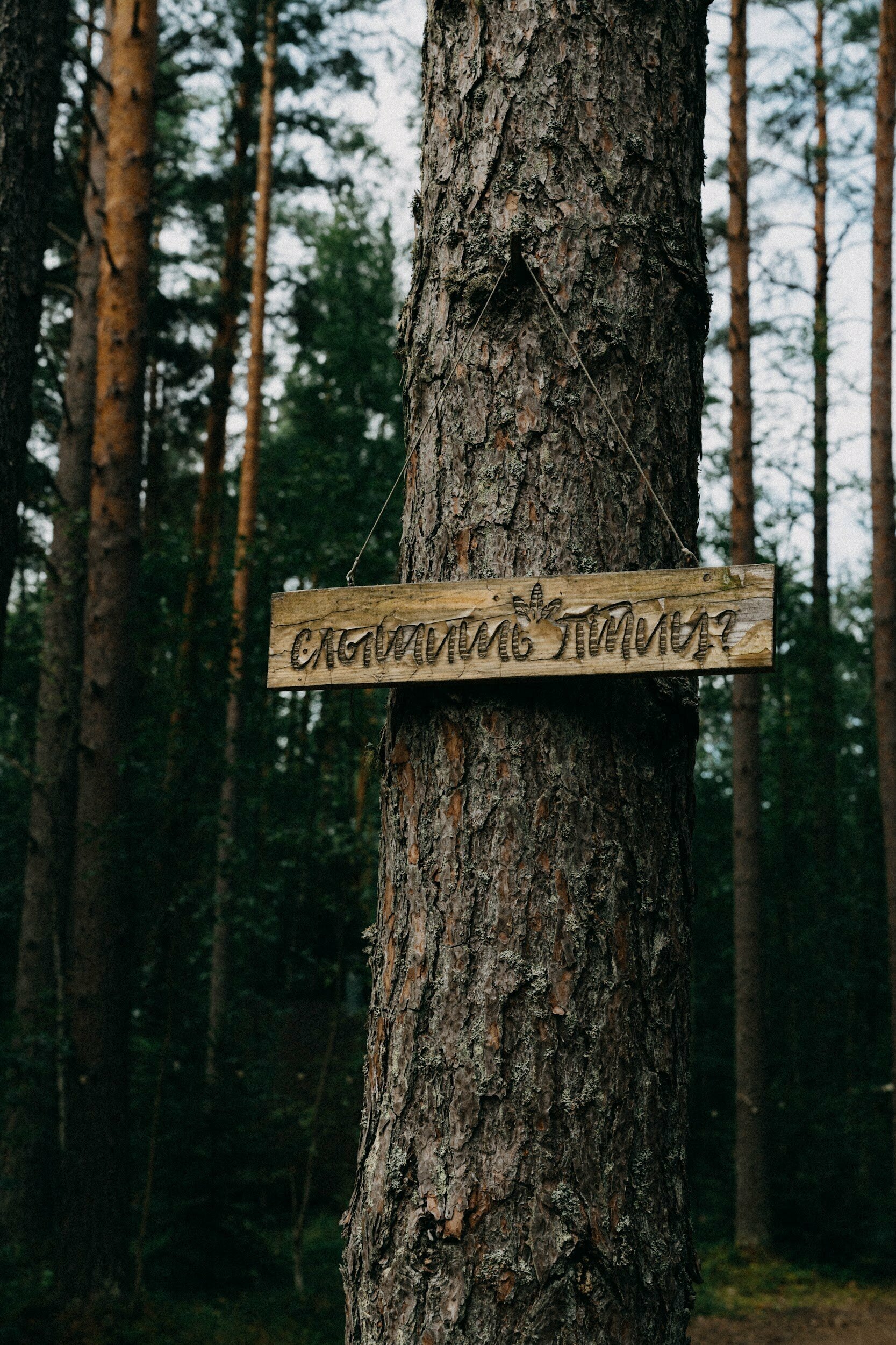 Зеркальный домик