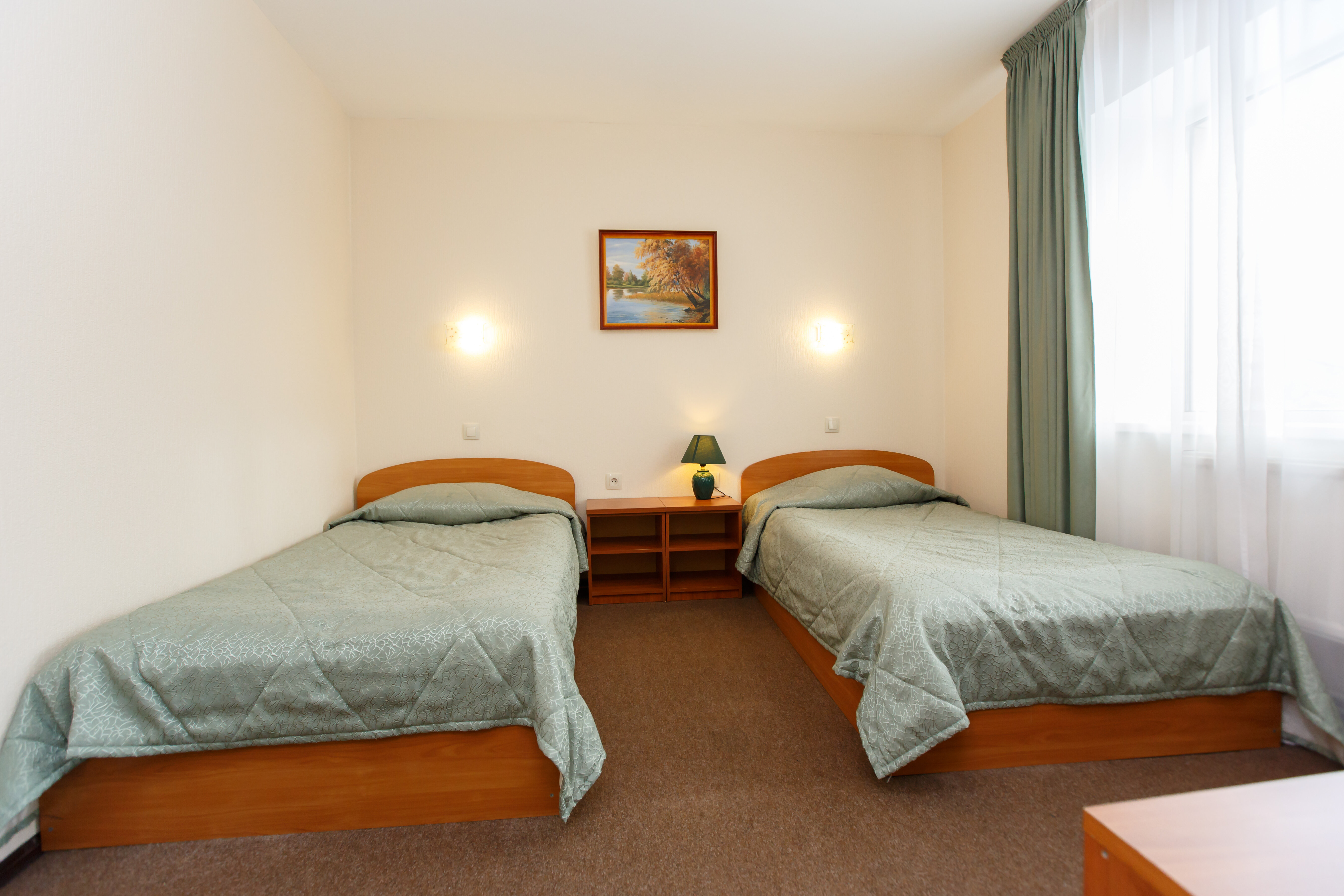 Двухместный номер с 1 кроватью или 2 отдельными кроватями