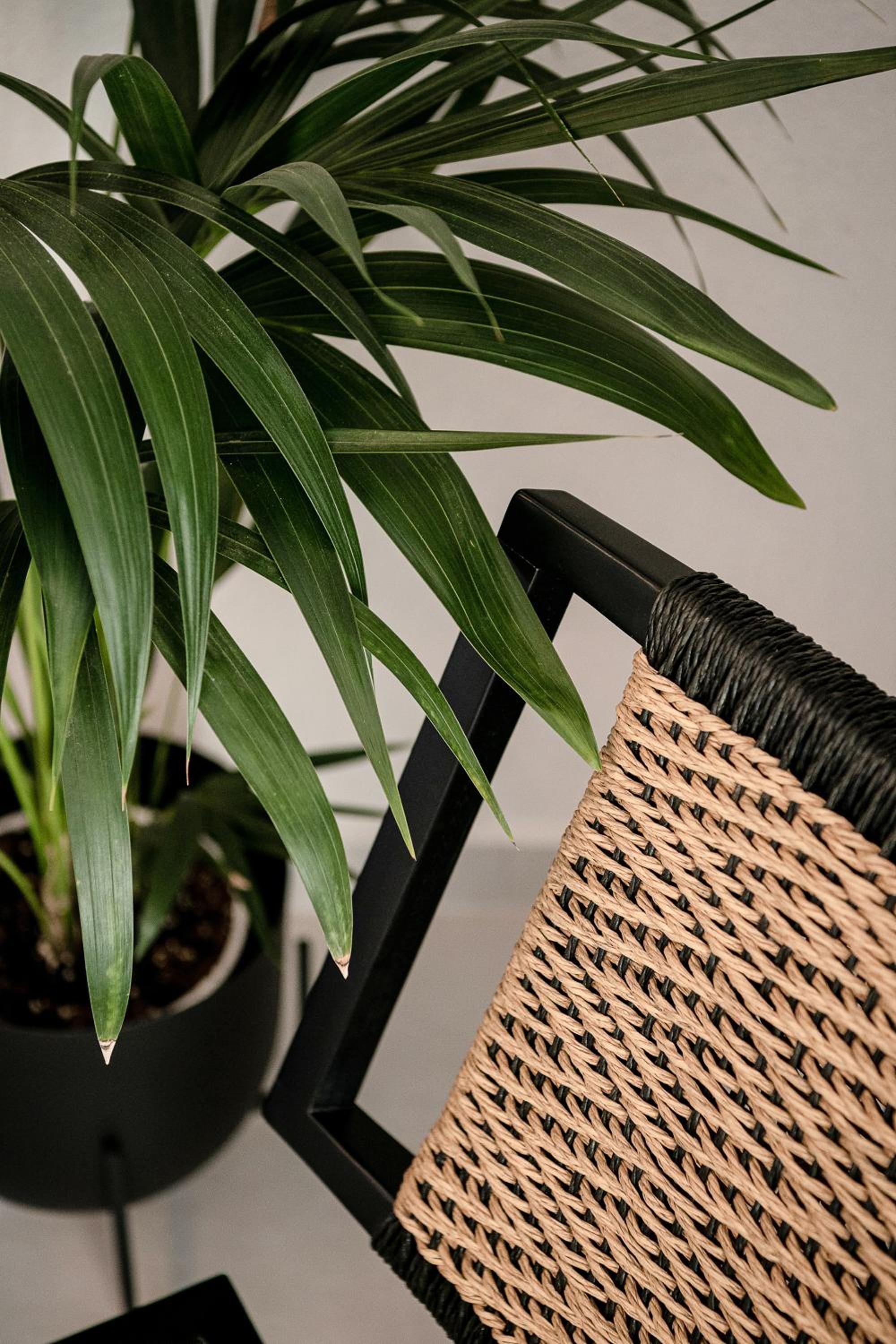 Junior Suite with Private Heated Pool & Sea View