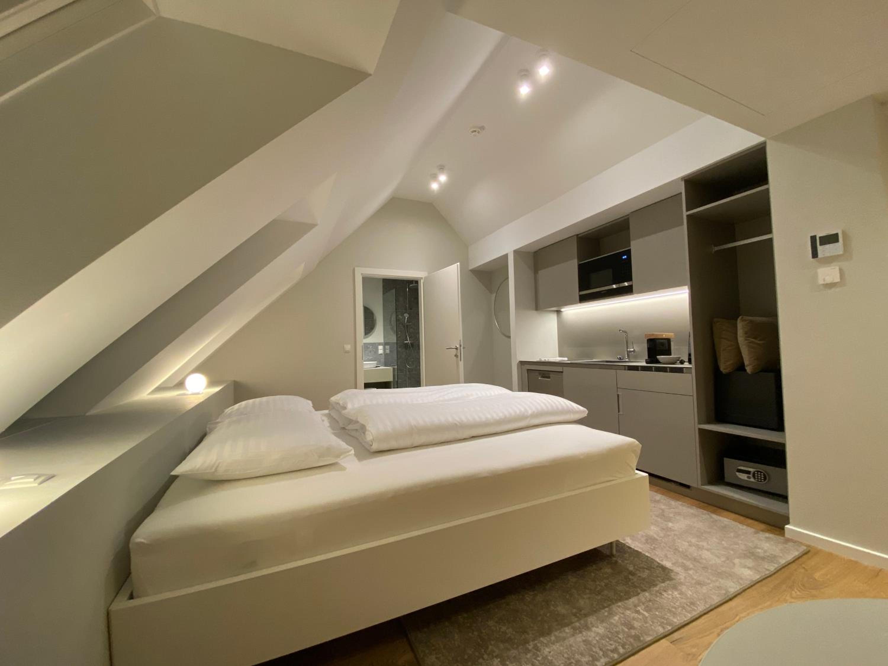 Large Deluxe Apartment