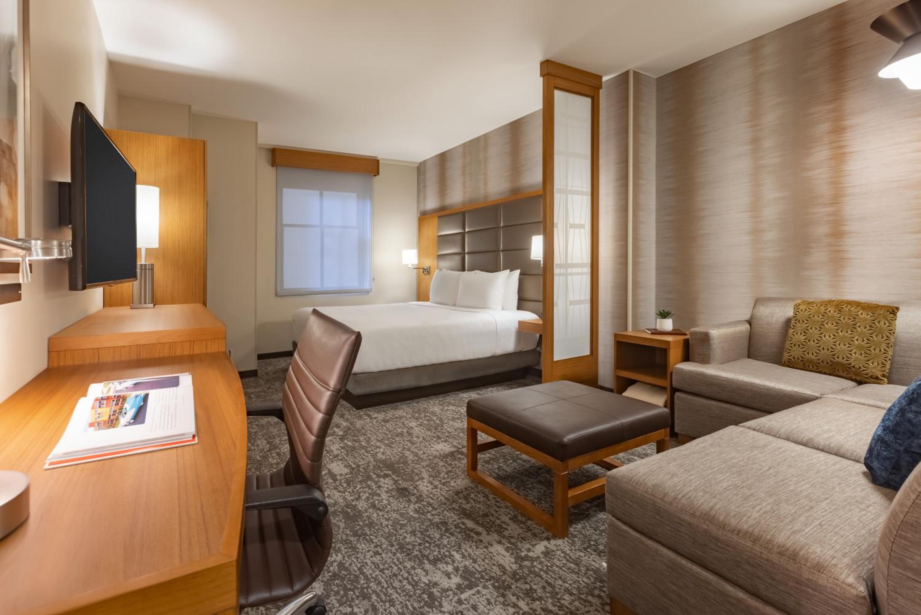 Specialty King Room with Sofa Bed