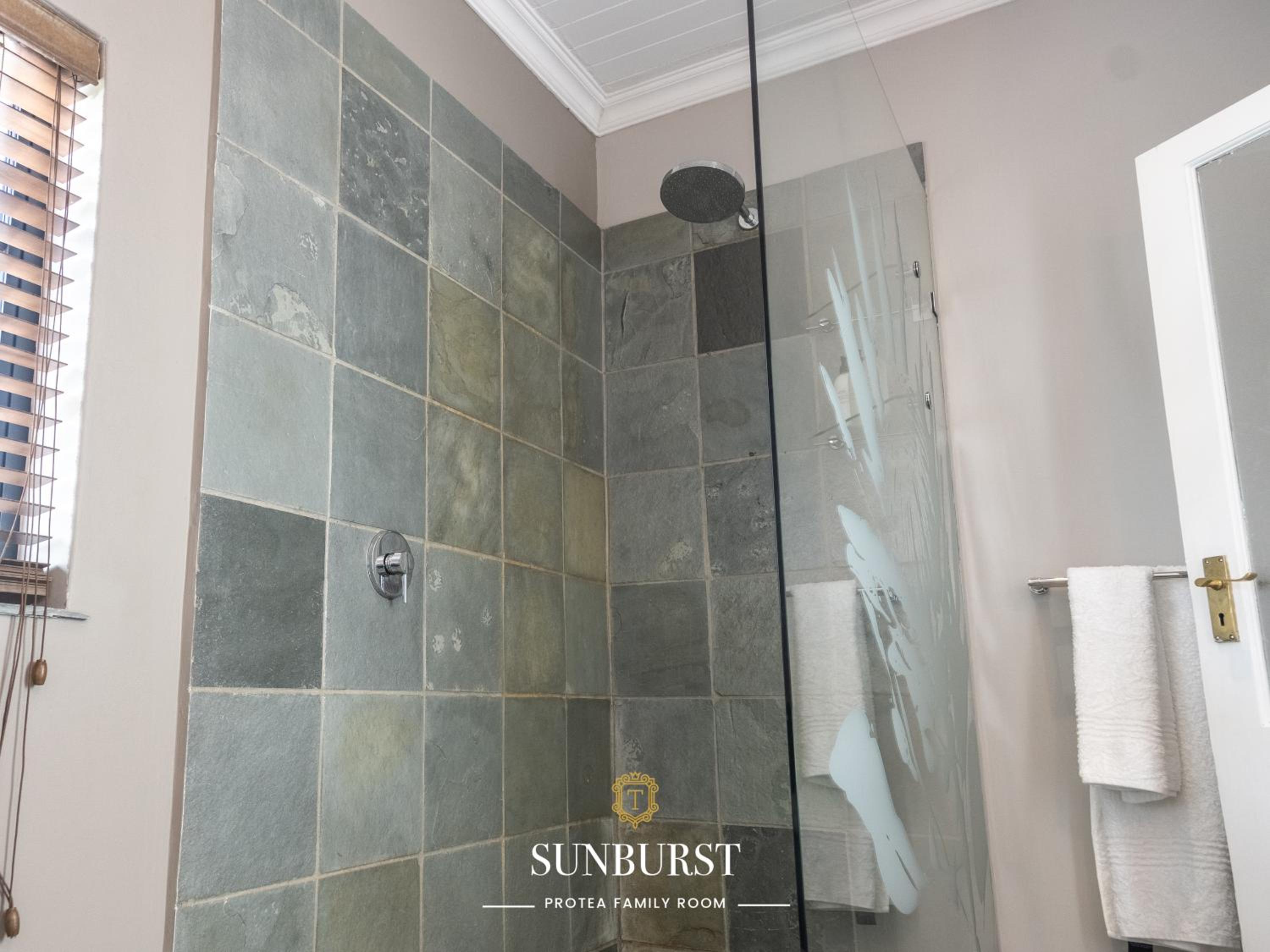 Sunburst Protea Family Room