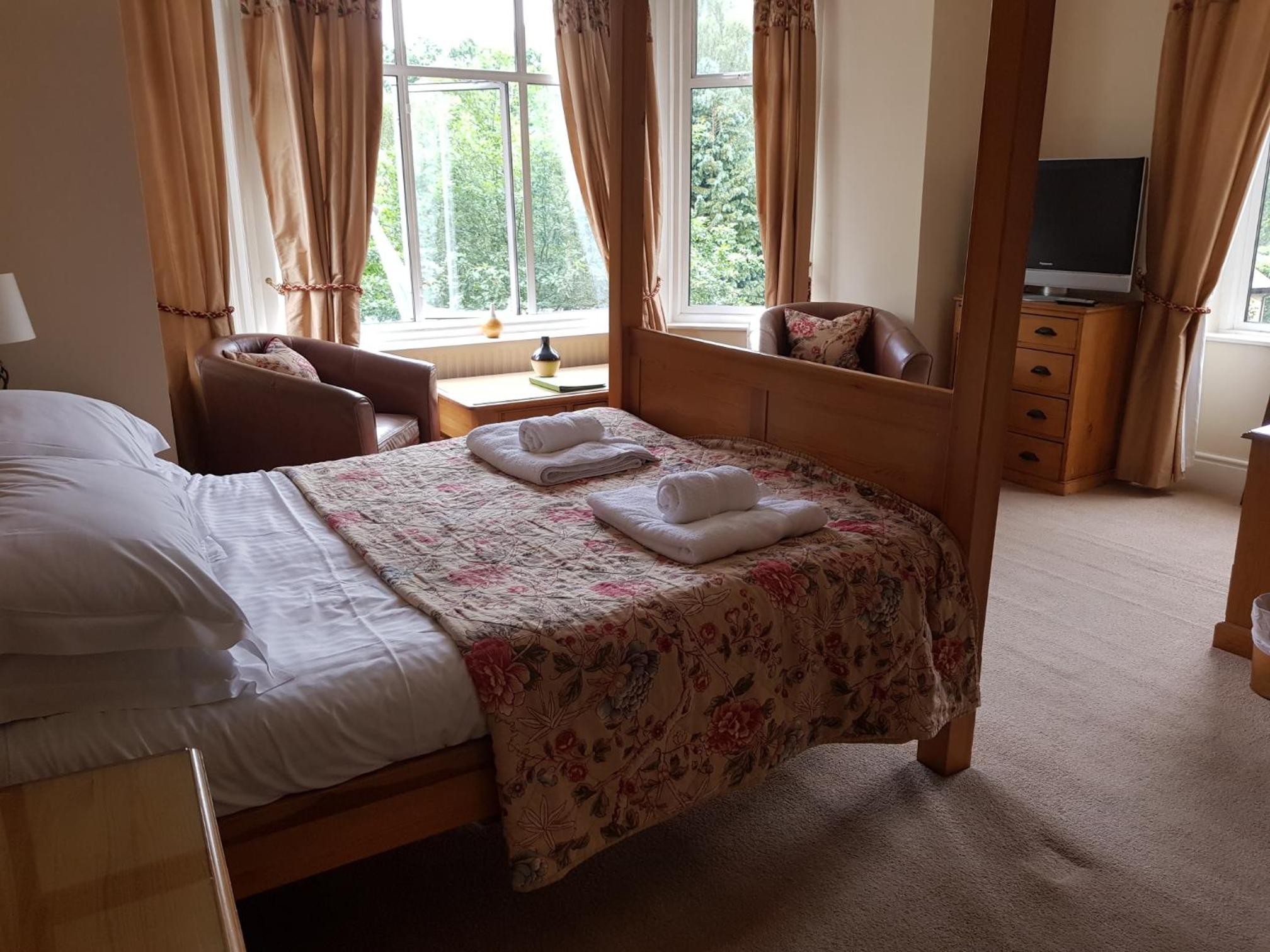 King Room (Not Pet-Friendly)