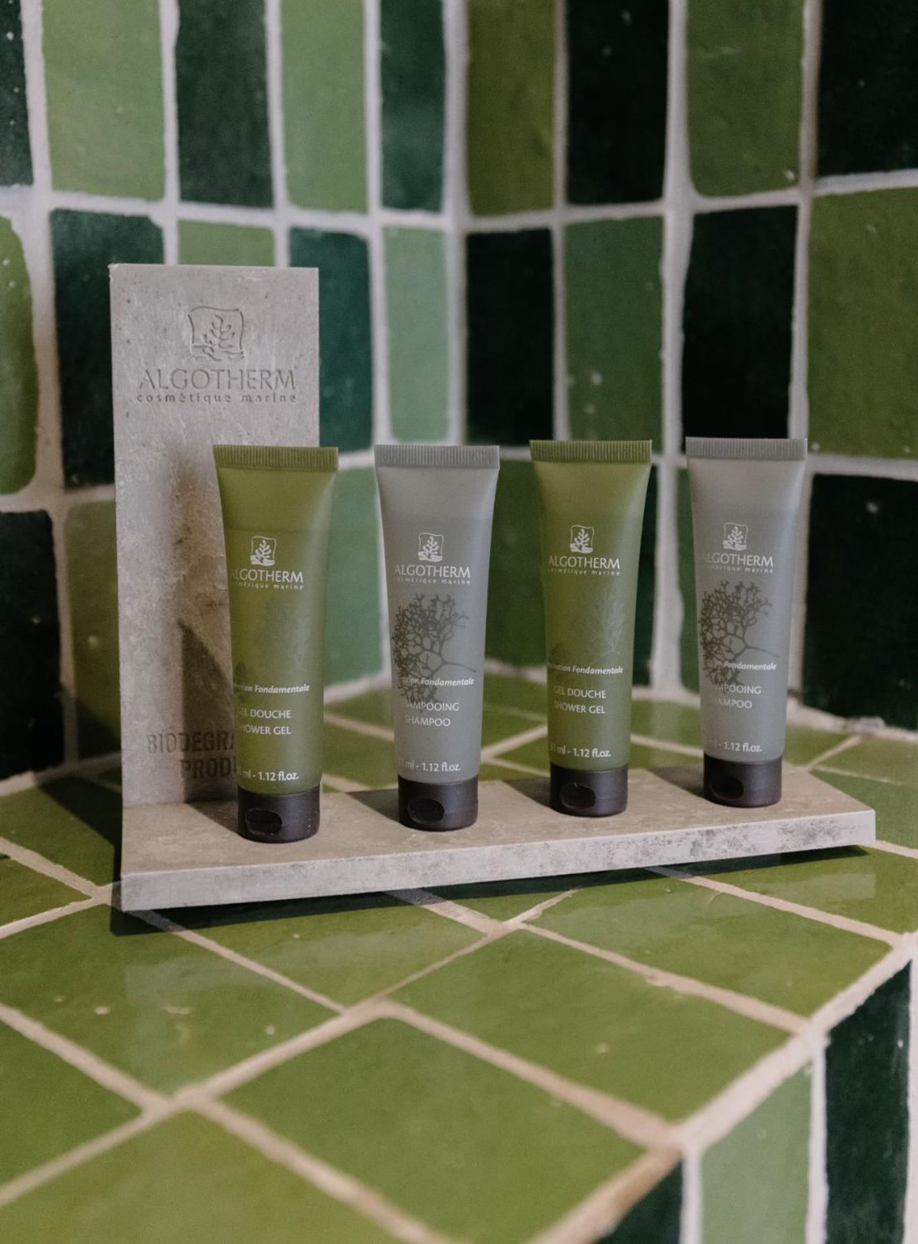 Double Room with Terrace