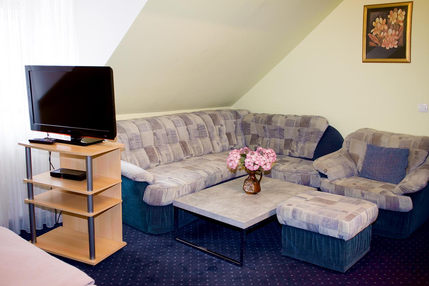 Double Room with Sofa Bed