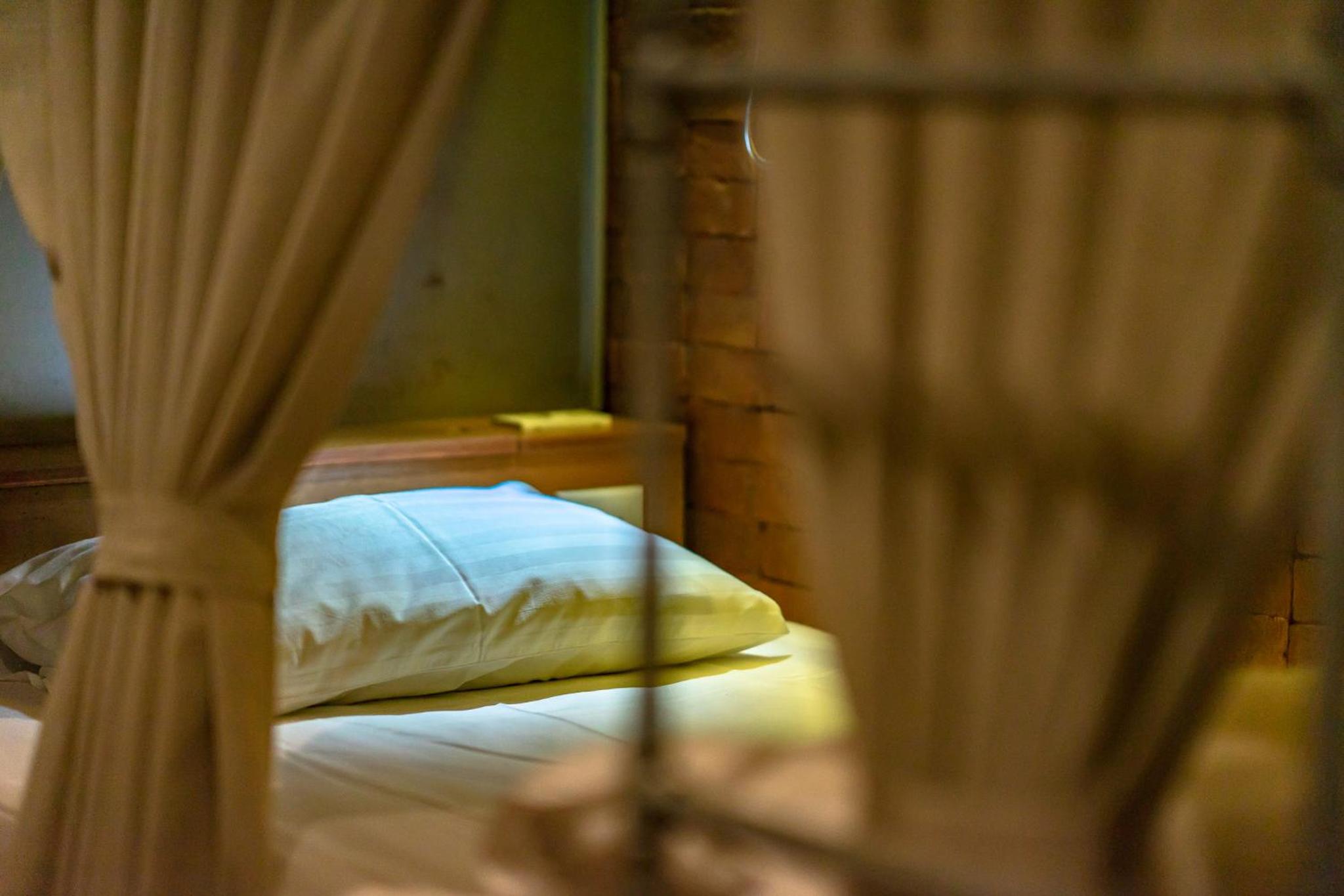 Bunk Bed in Mixed Dormitory Room